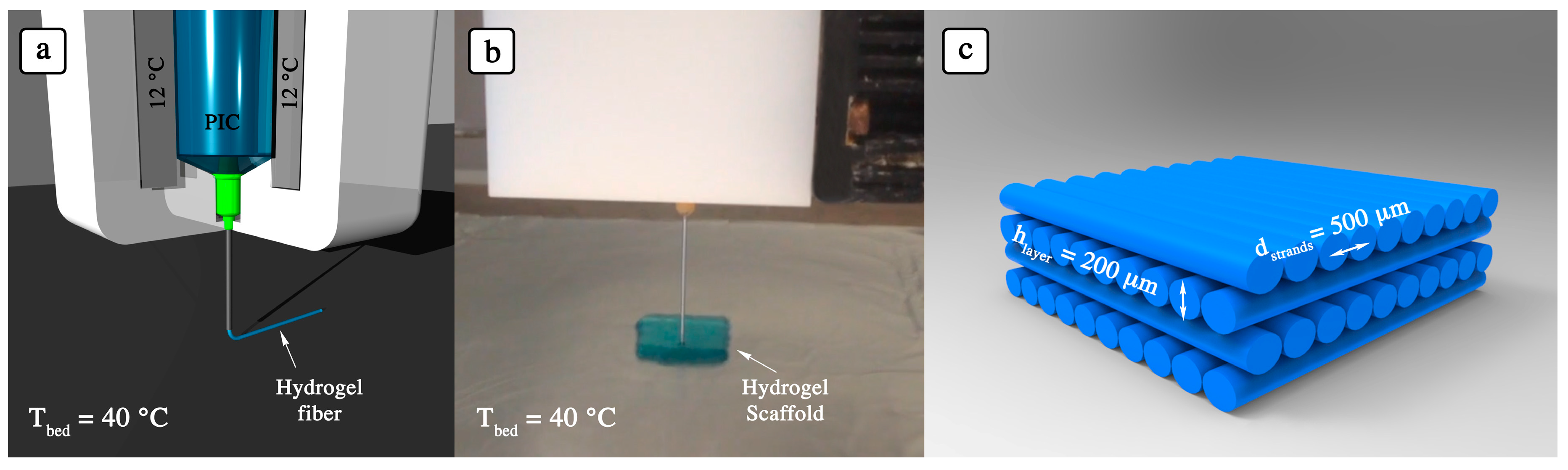 Polymers 10 00555 g002