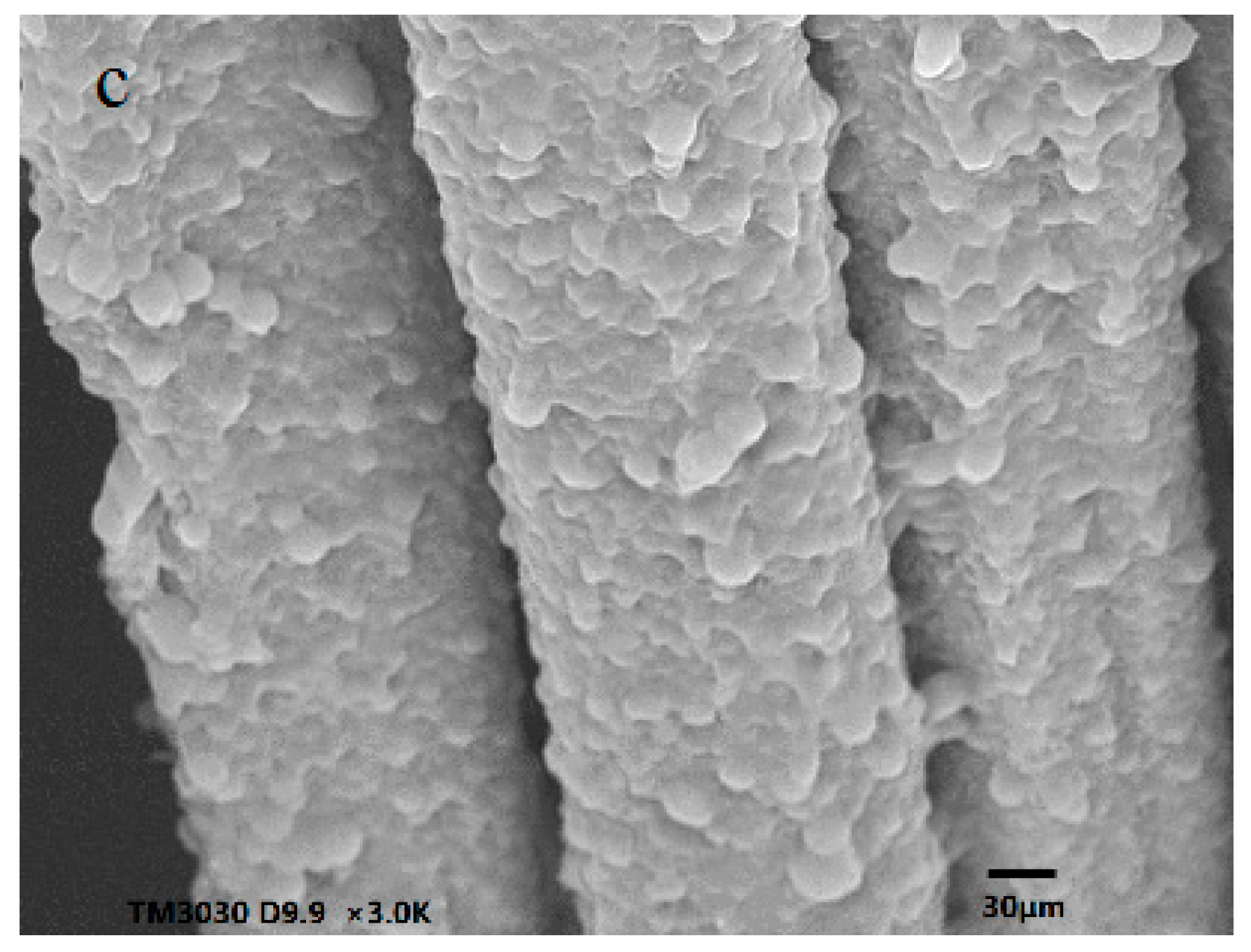 Polymers 10 00557 g005b