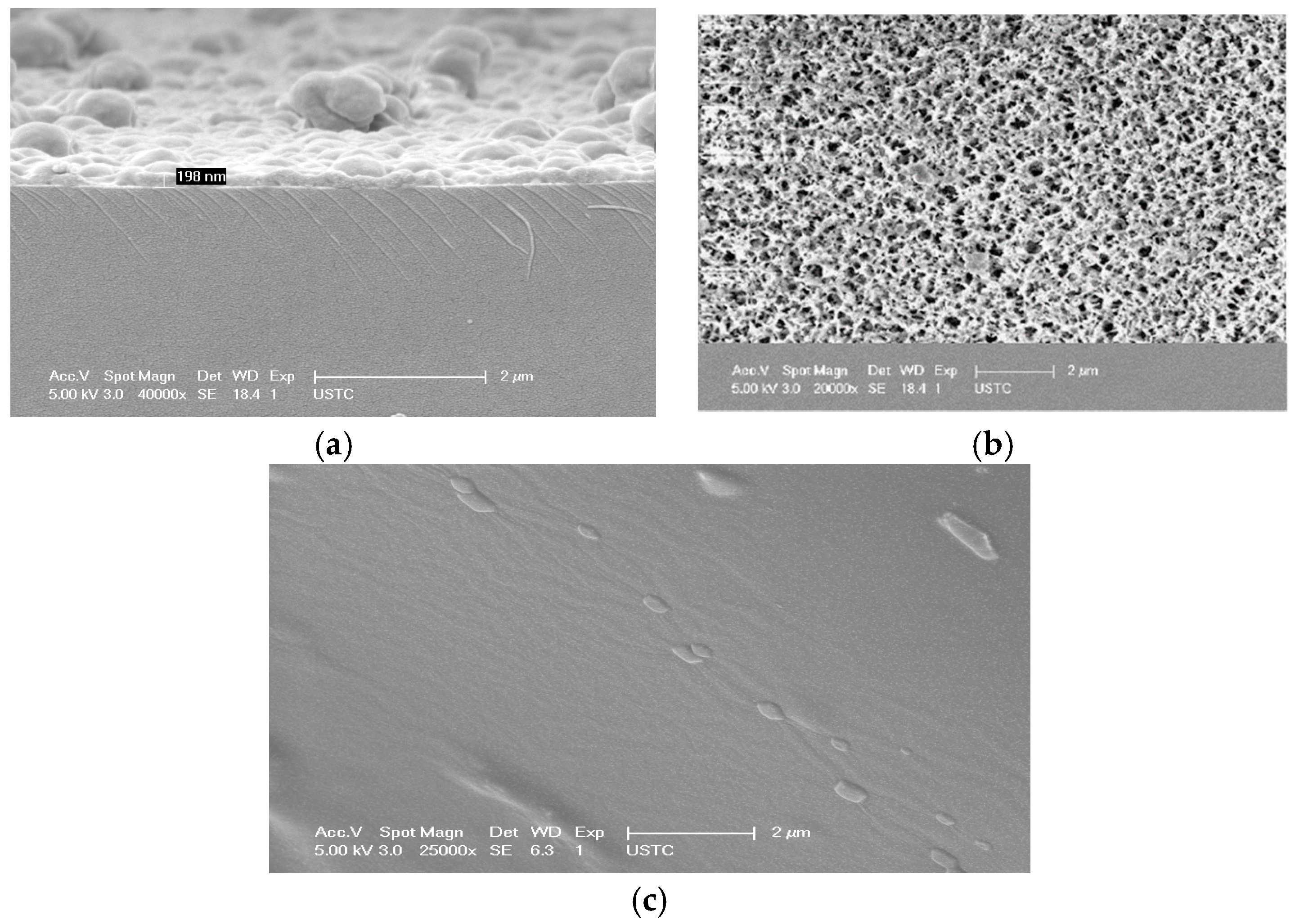 Polymers 10 00563 g002