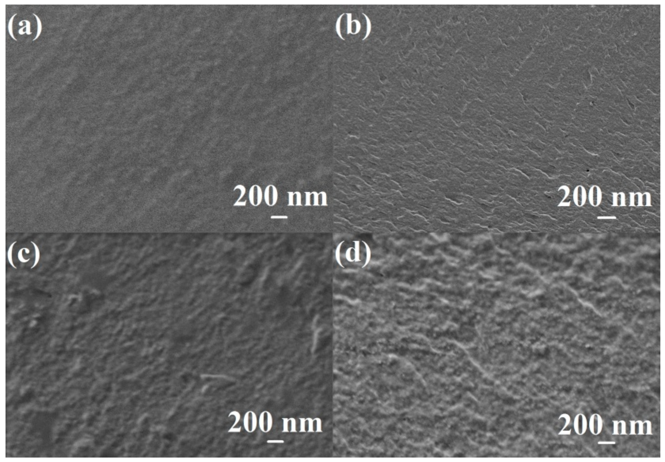 Polymers 10 00571 g005