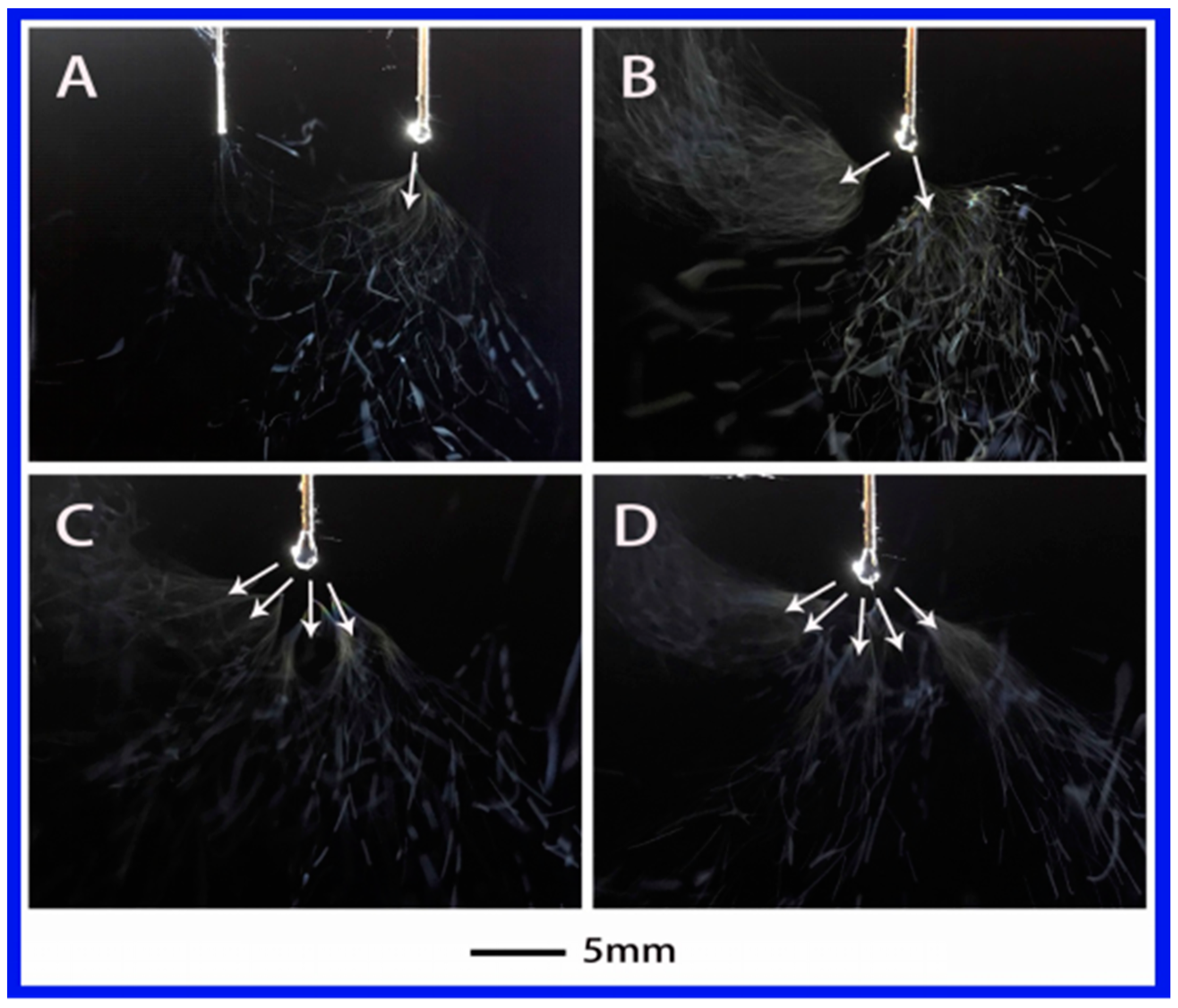Polymers 10 00572 g002