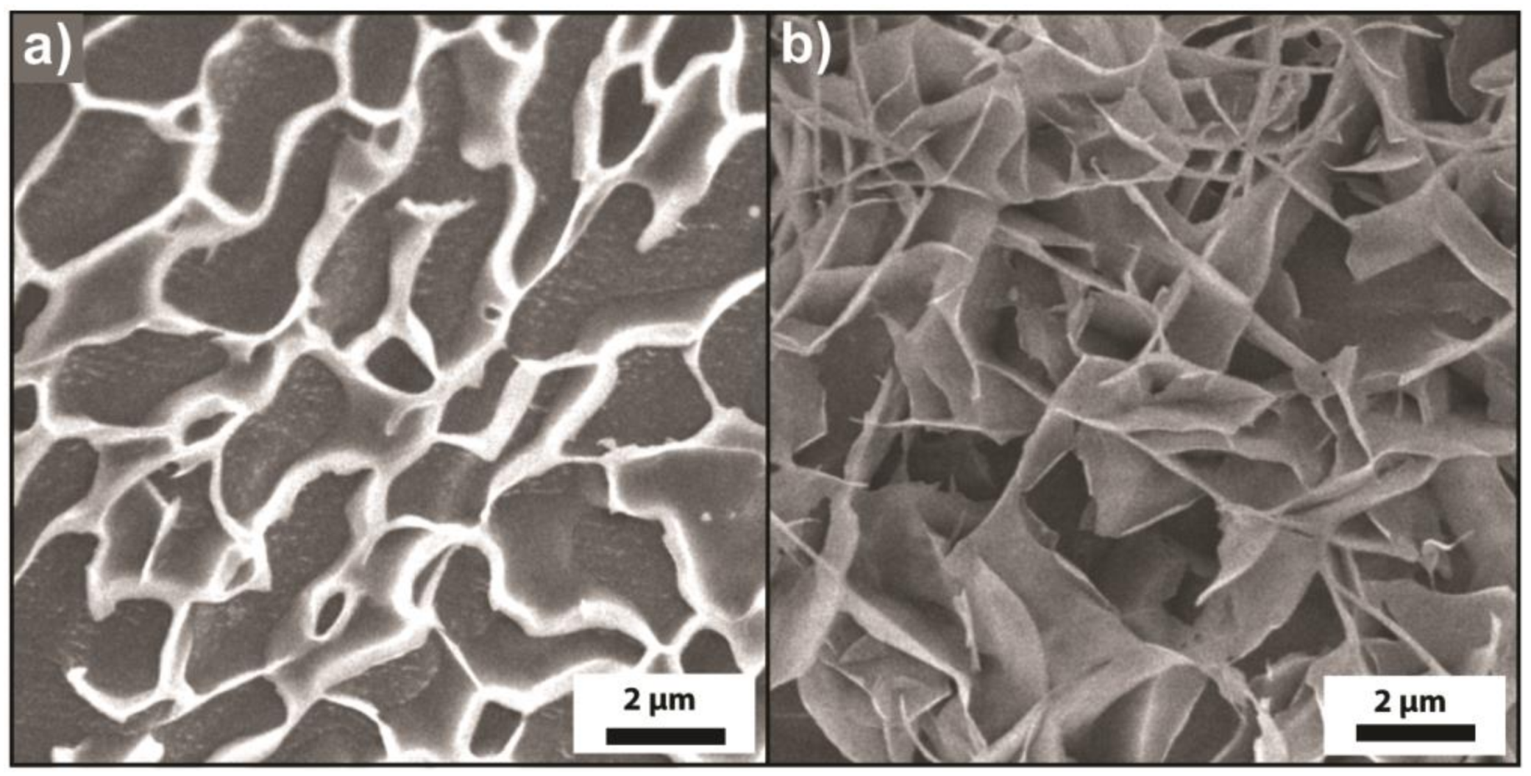 Polymers 10 00576 g007