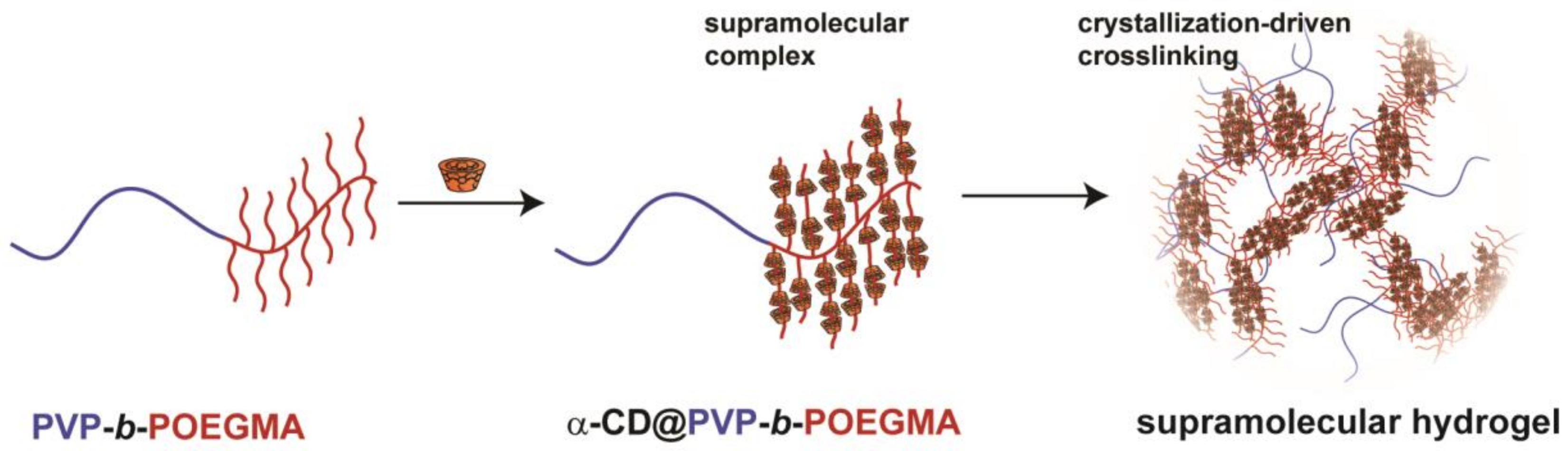 Polymers 10 00576 sch001