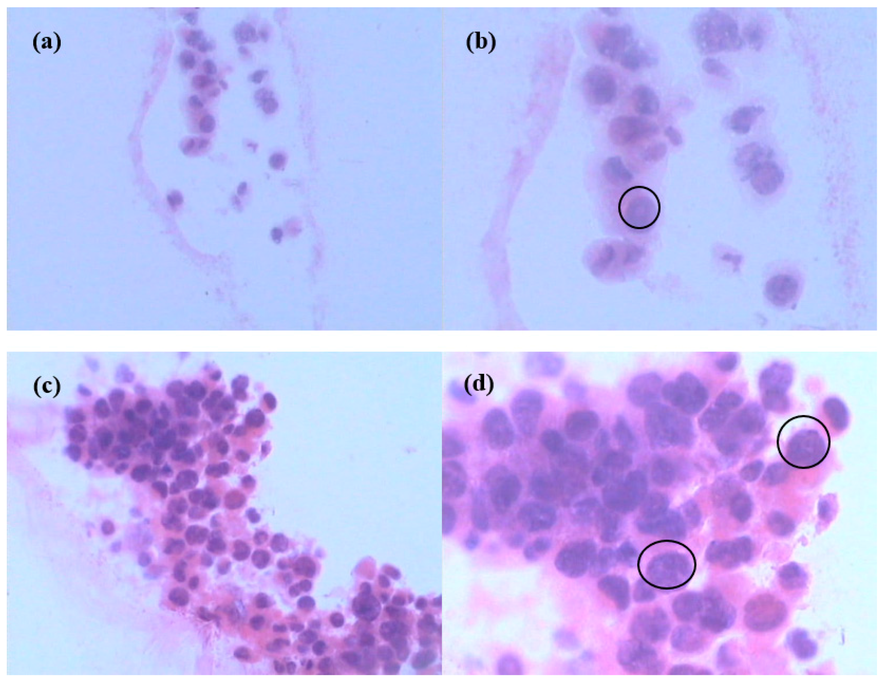 Polymers 10 00581 g007 Polymers 10 00581 g007