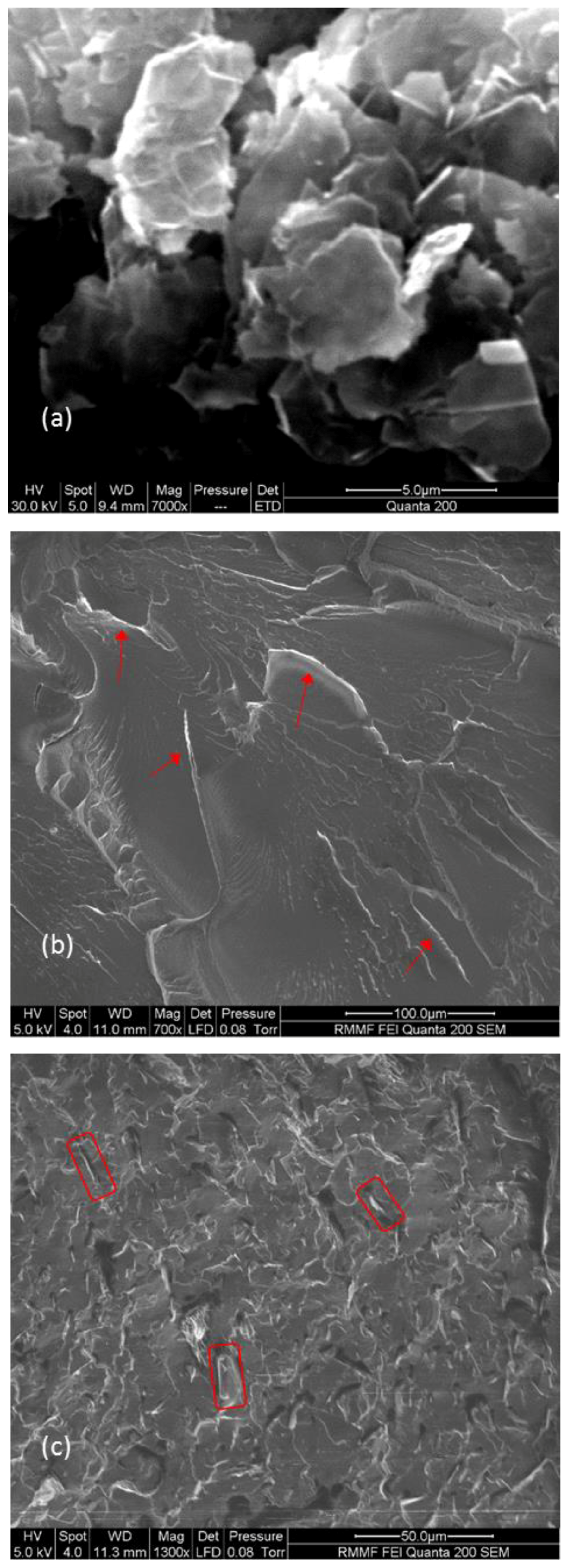 Polymers 10 00582 g003