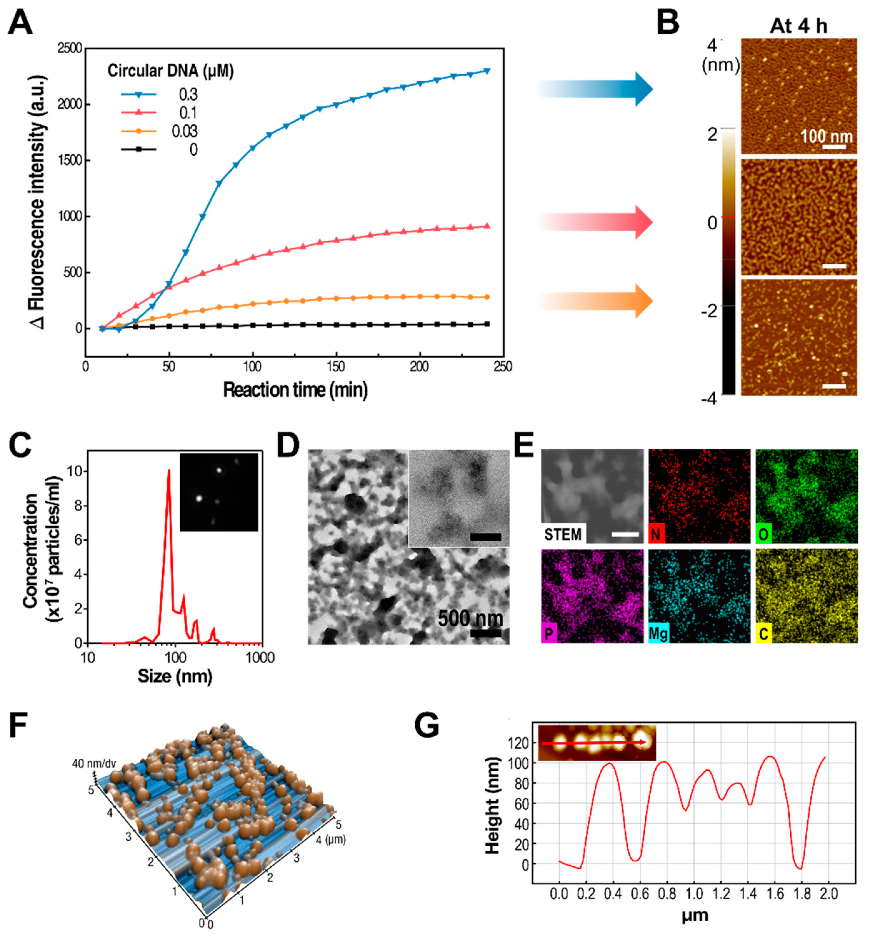 Polymers 10 00589 g002