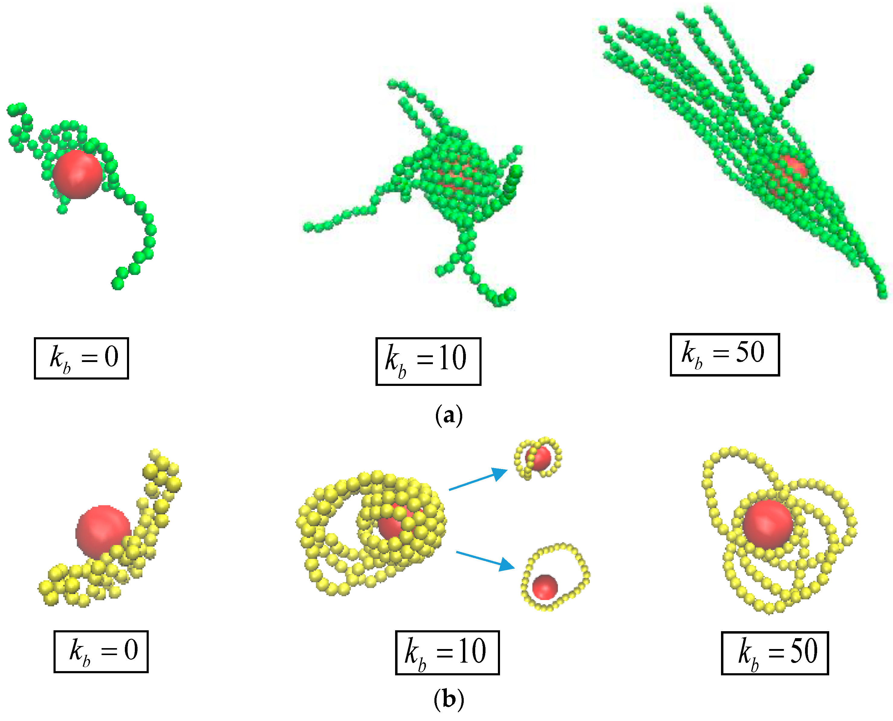 Polymers 10 00590 g006
