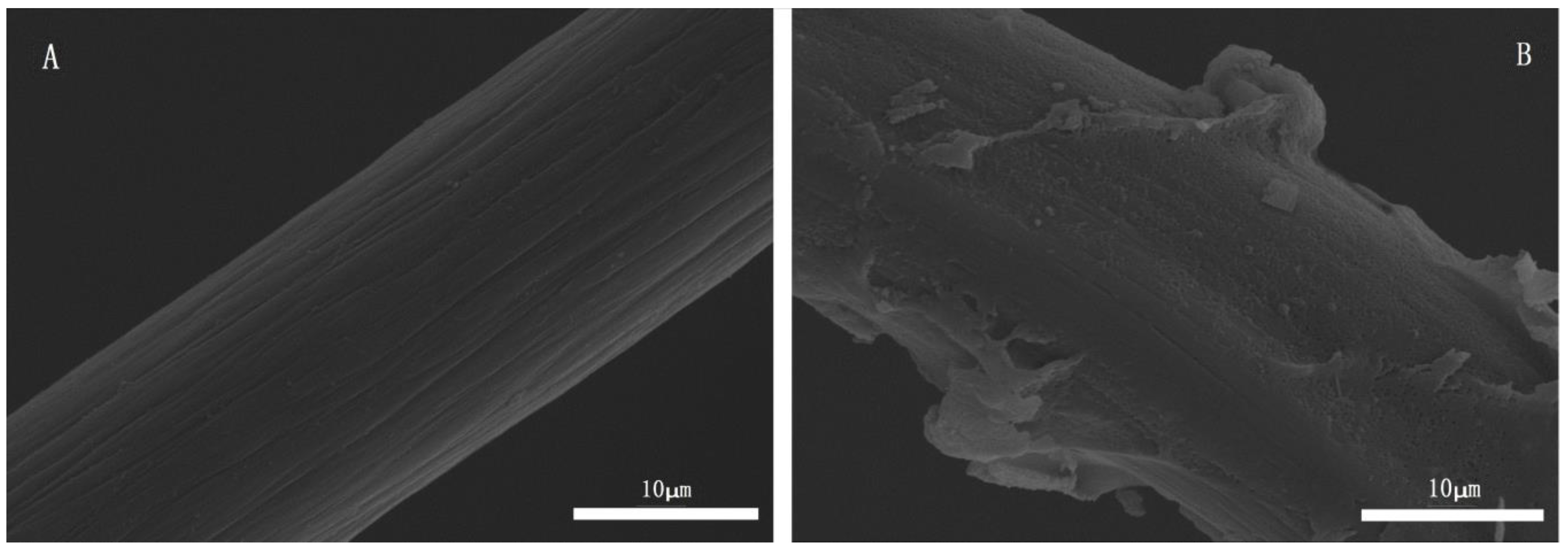 Polymers 10 00594 g002