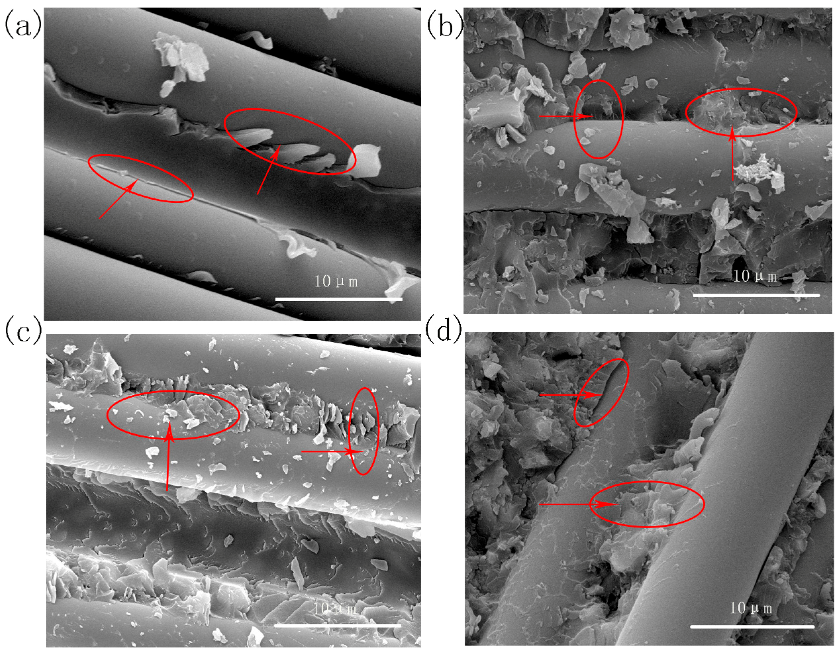 Polymers 10 00596 g006 Polymers 10 00596 g006
