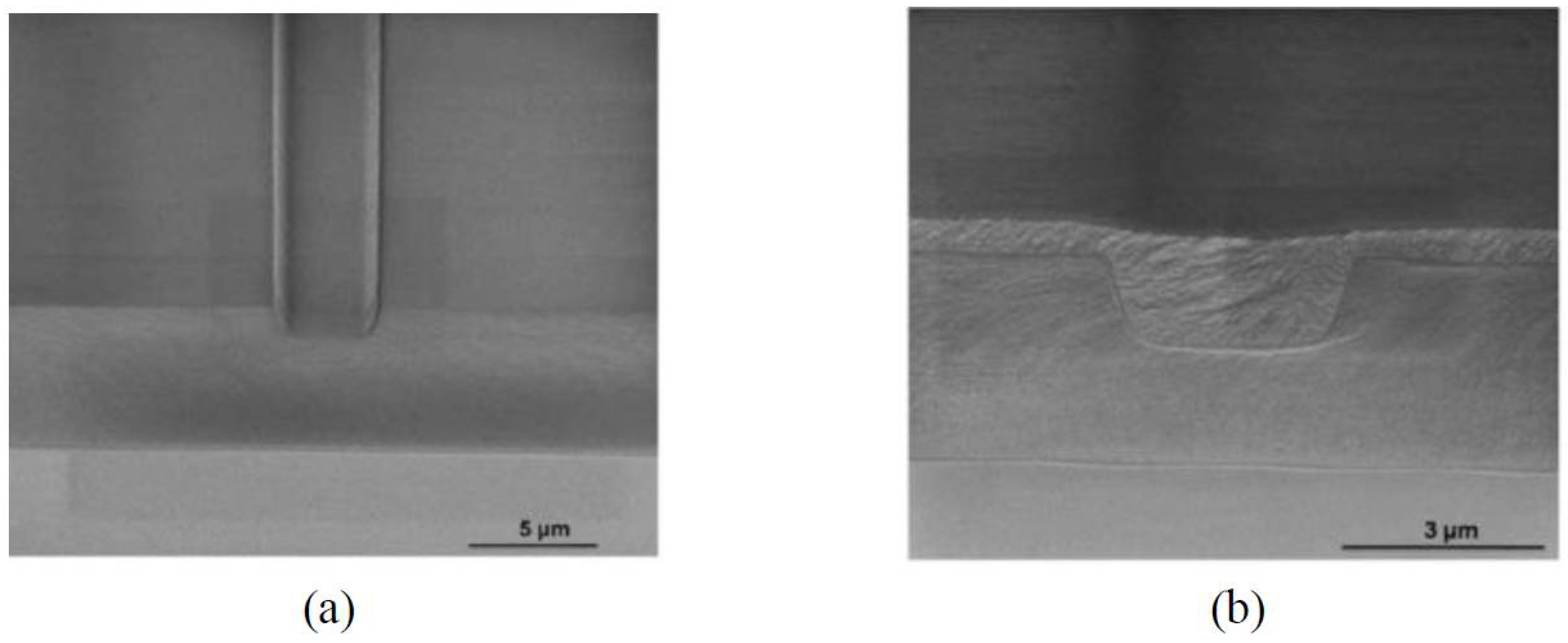 Polymers 10 00603 g004 Polymers 10 00603 g004