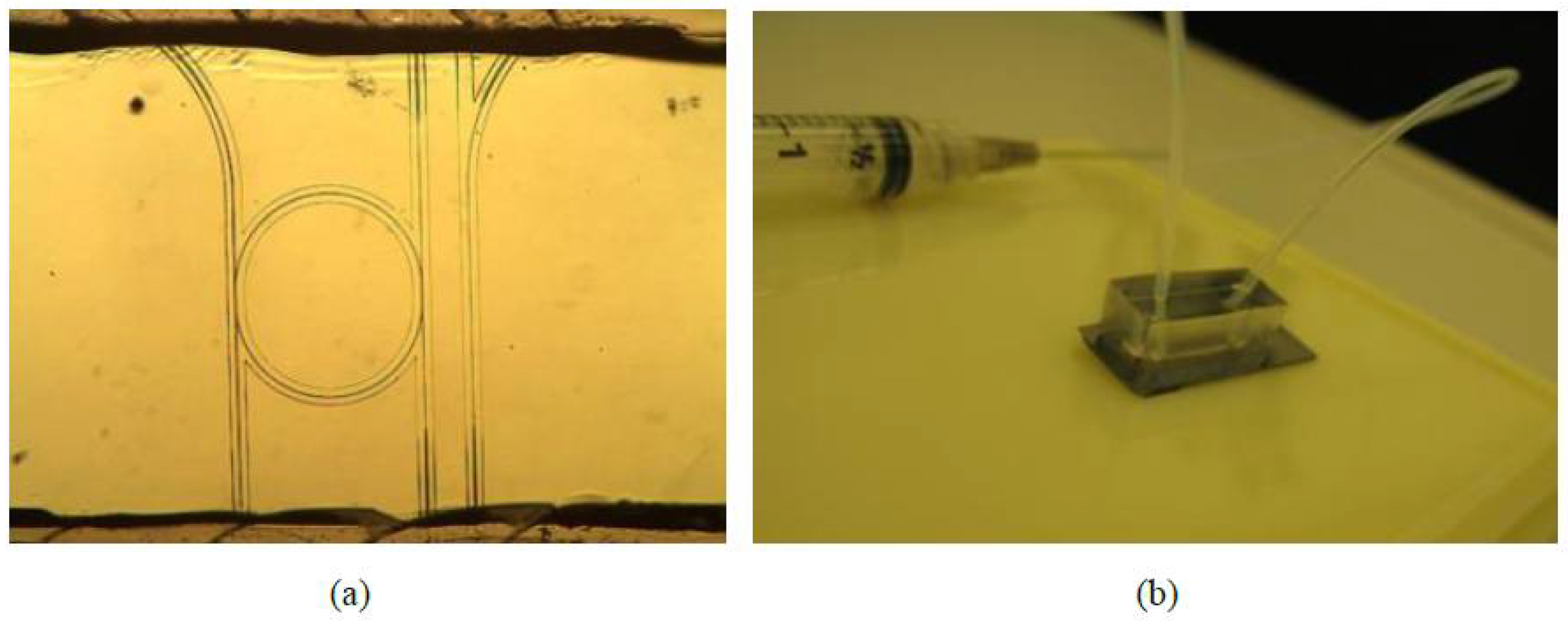 Polymers 10 00603 g027 Polymers 10 00603 g027