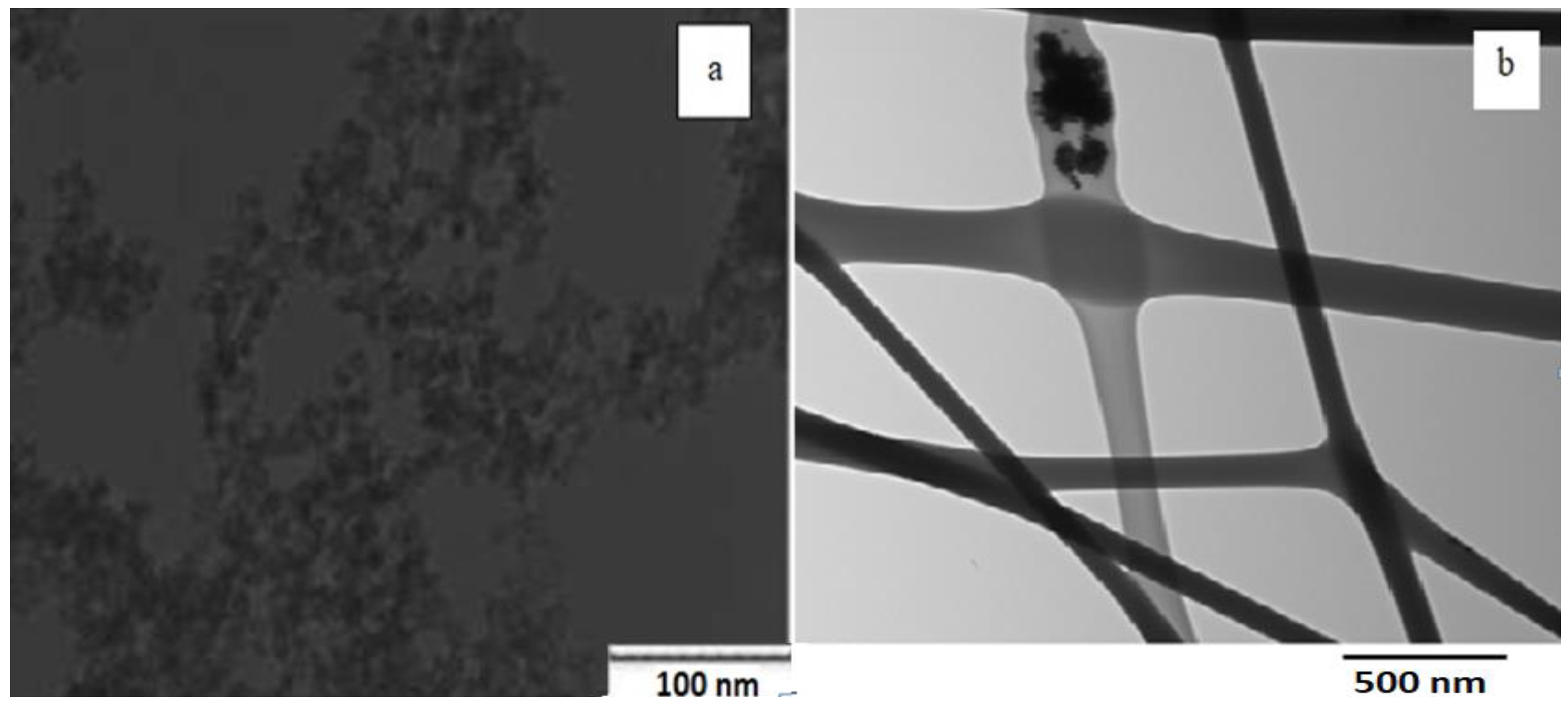 Polymers 10 00609 g005