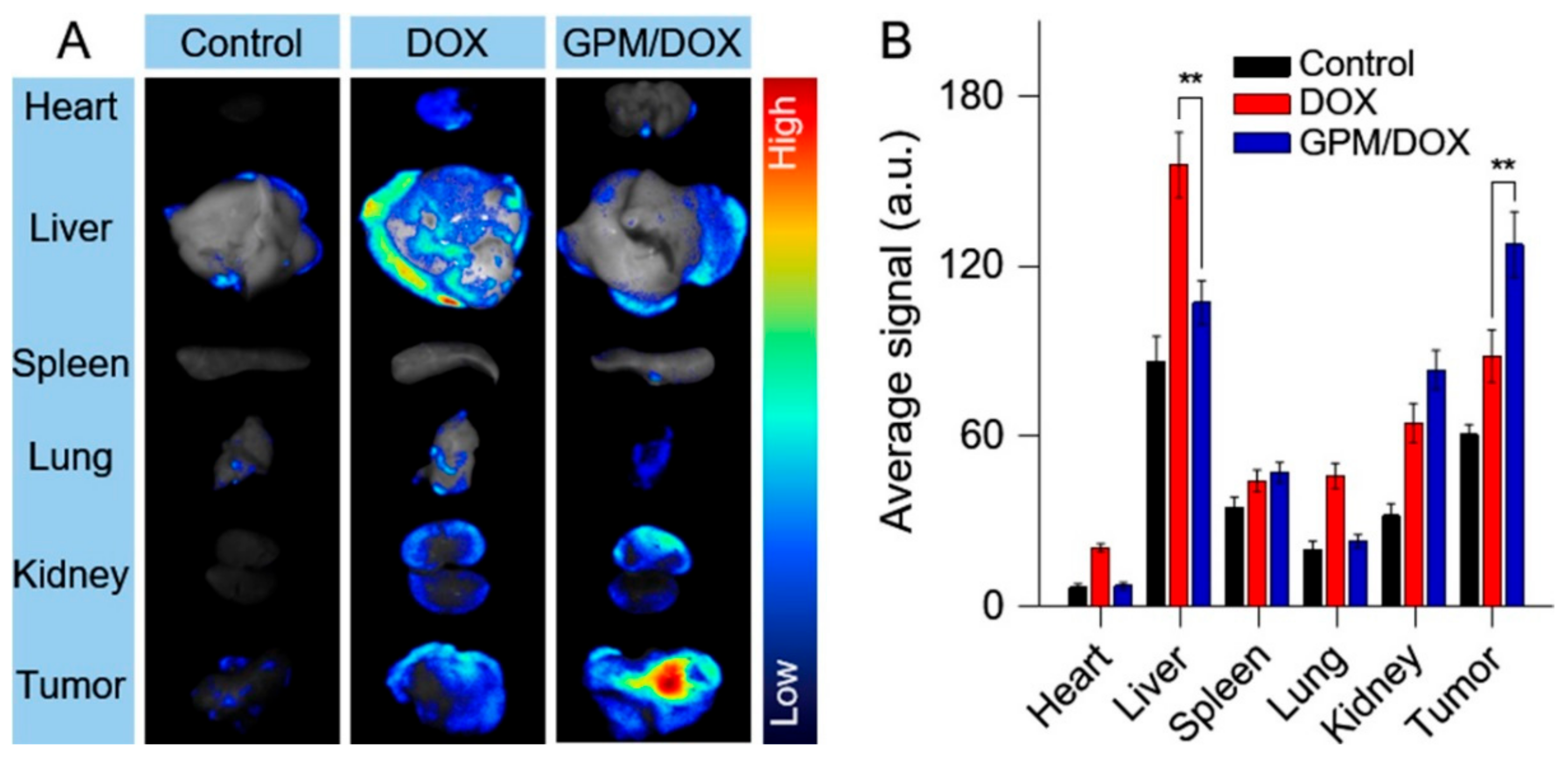 Polymers 10 00611 g003