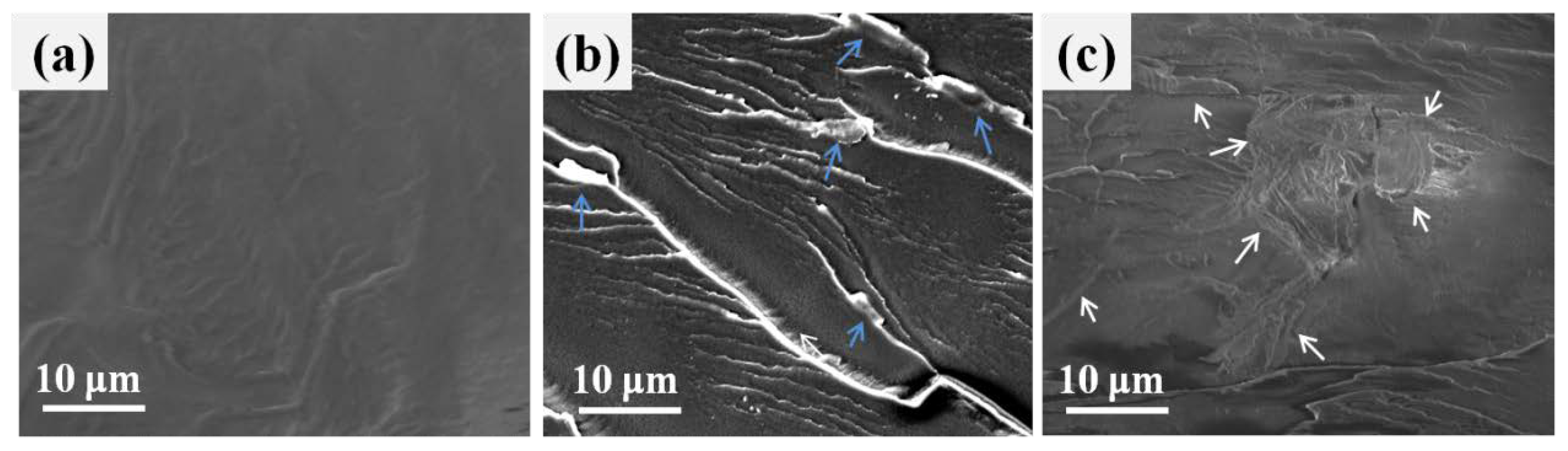 Polymers 10 00613 g005 Polymers 10 00613 g005