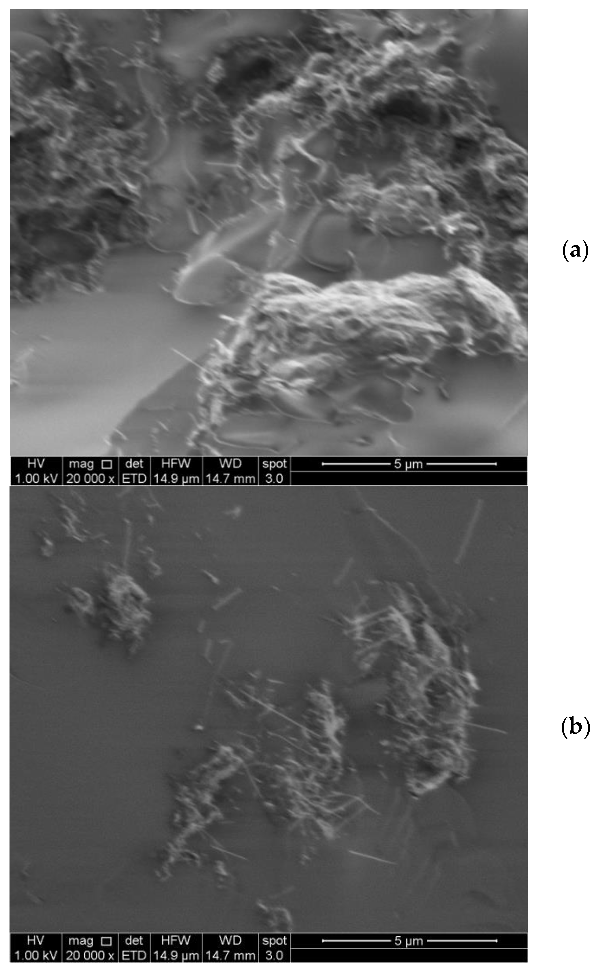 Polymers 10 00618 g004a Polymers 10 00618 g004a