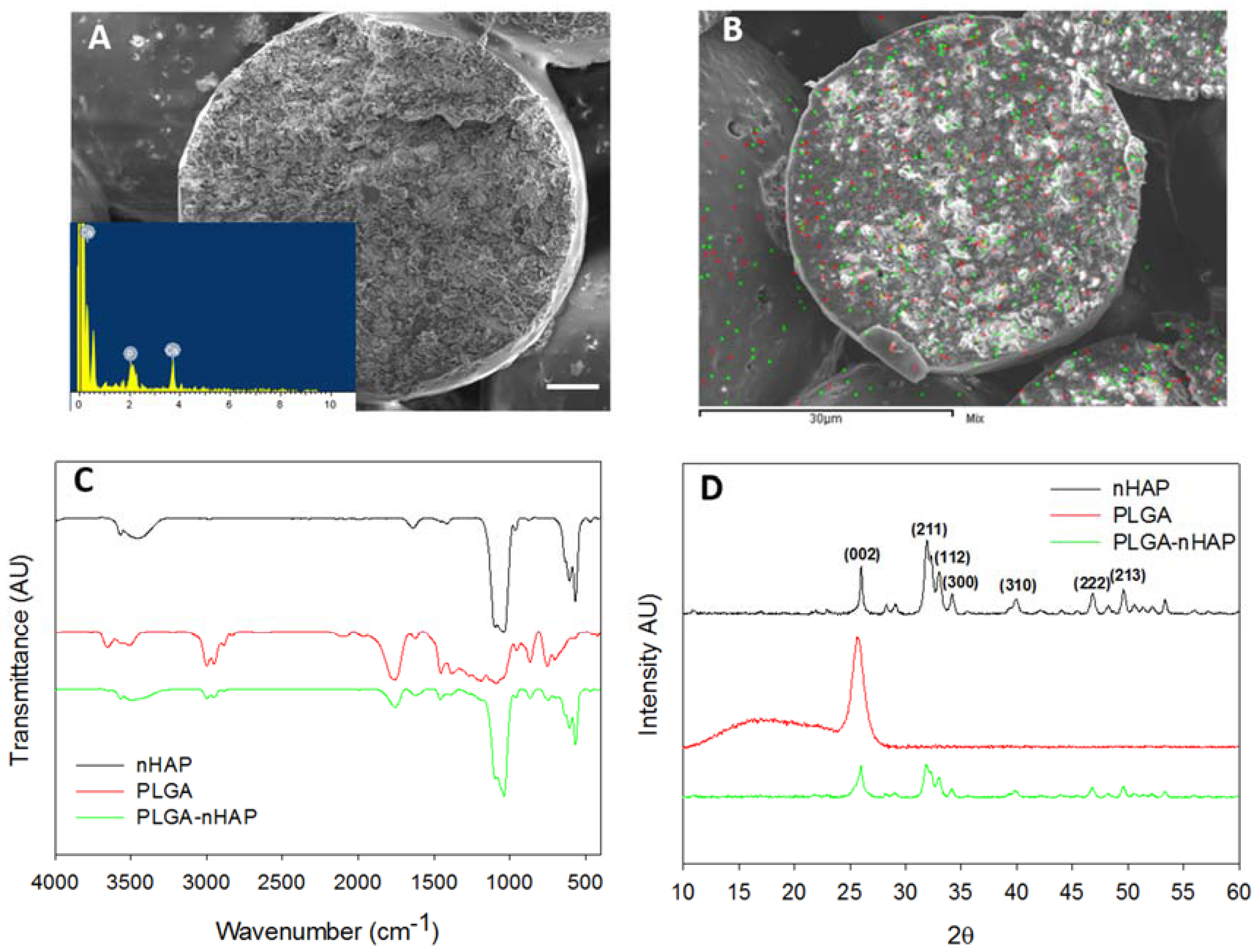 Polymers 10 00620 g004