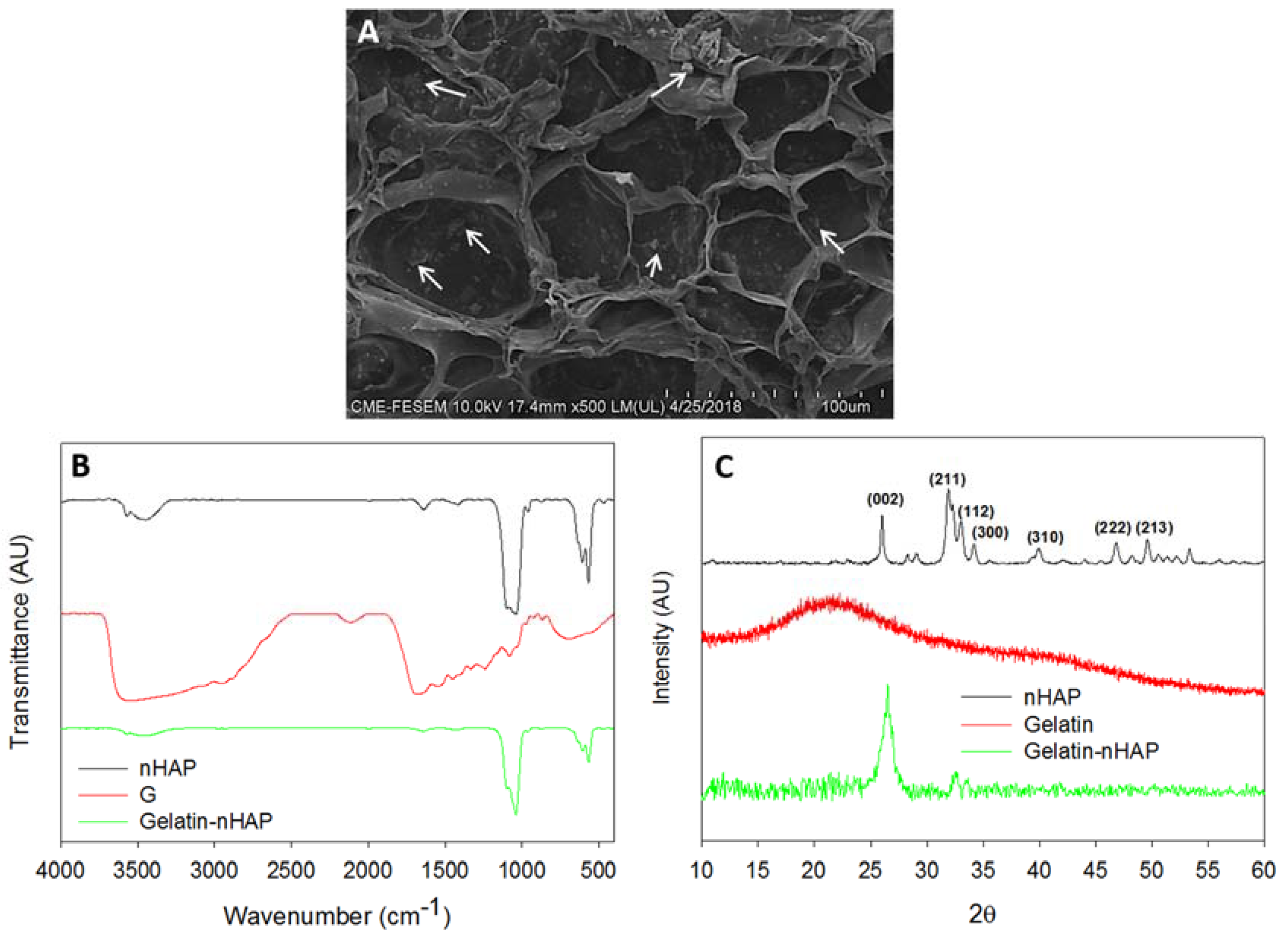 Polymers 10 00620 g006