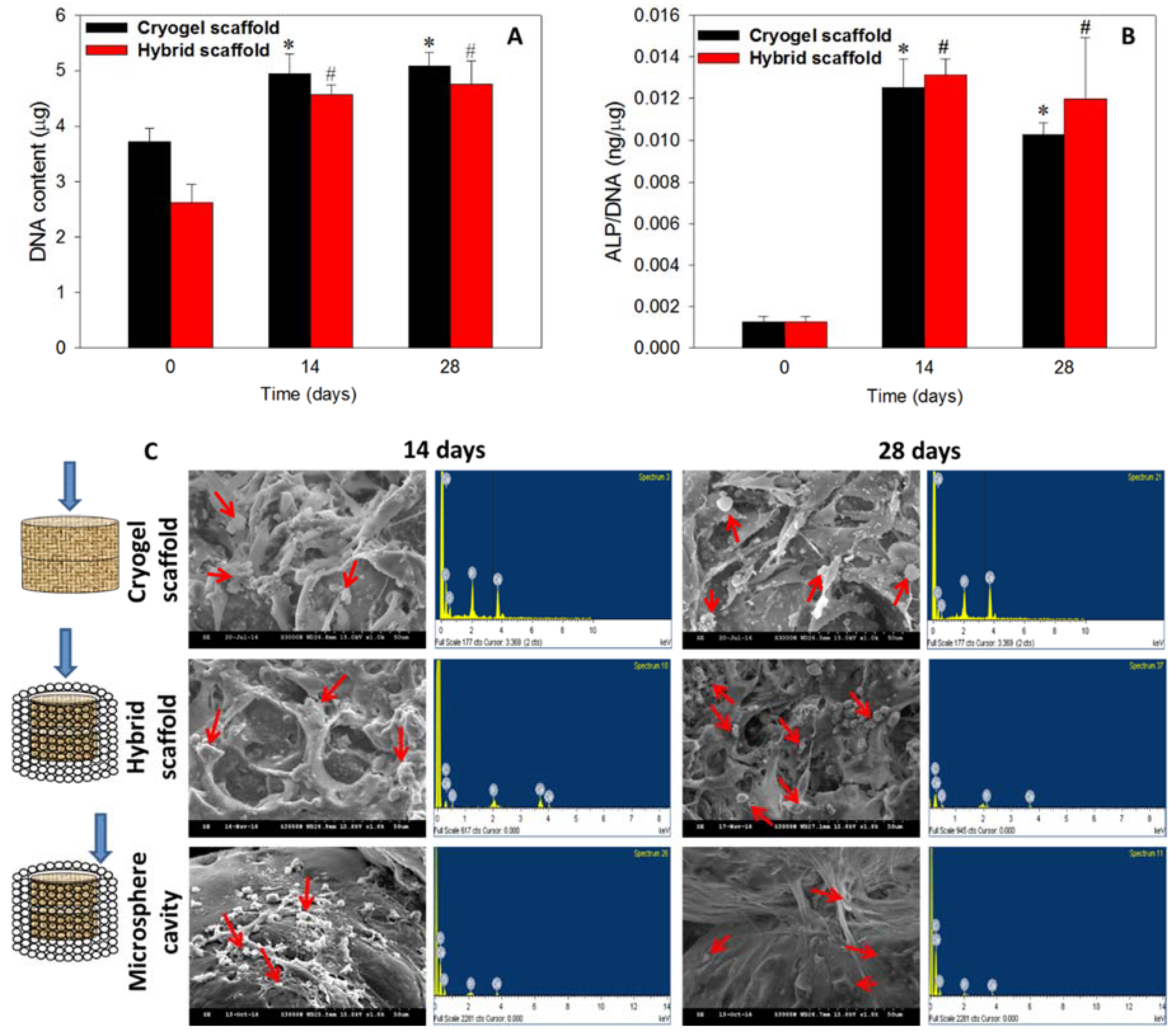 Polymers 10 00620 g009