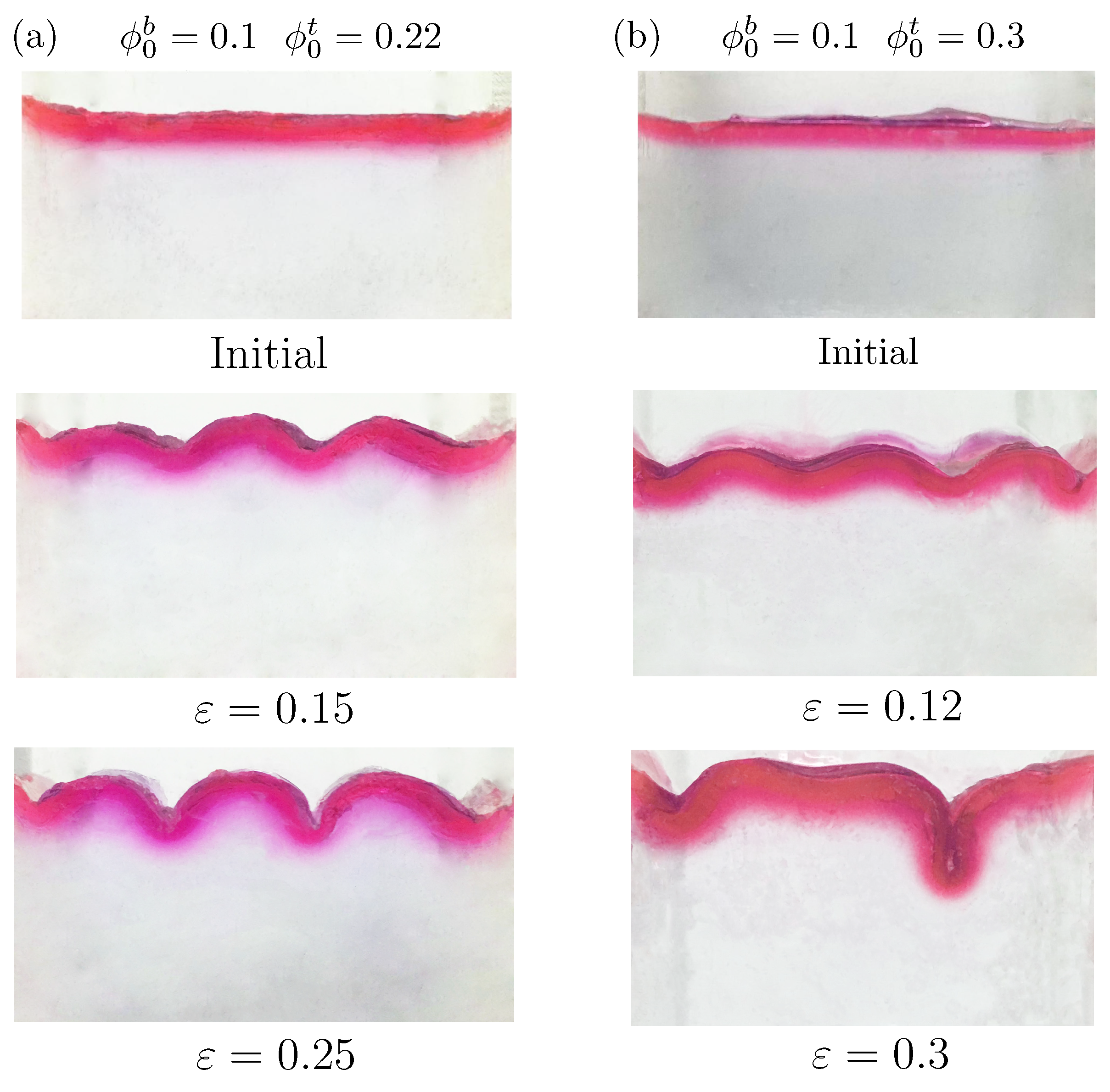 Polymers 10 00624 g004
