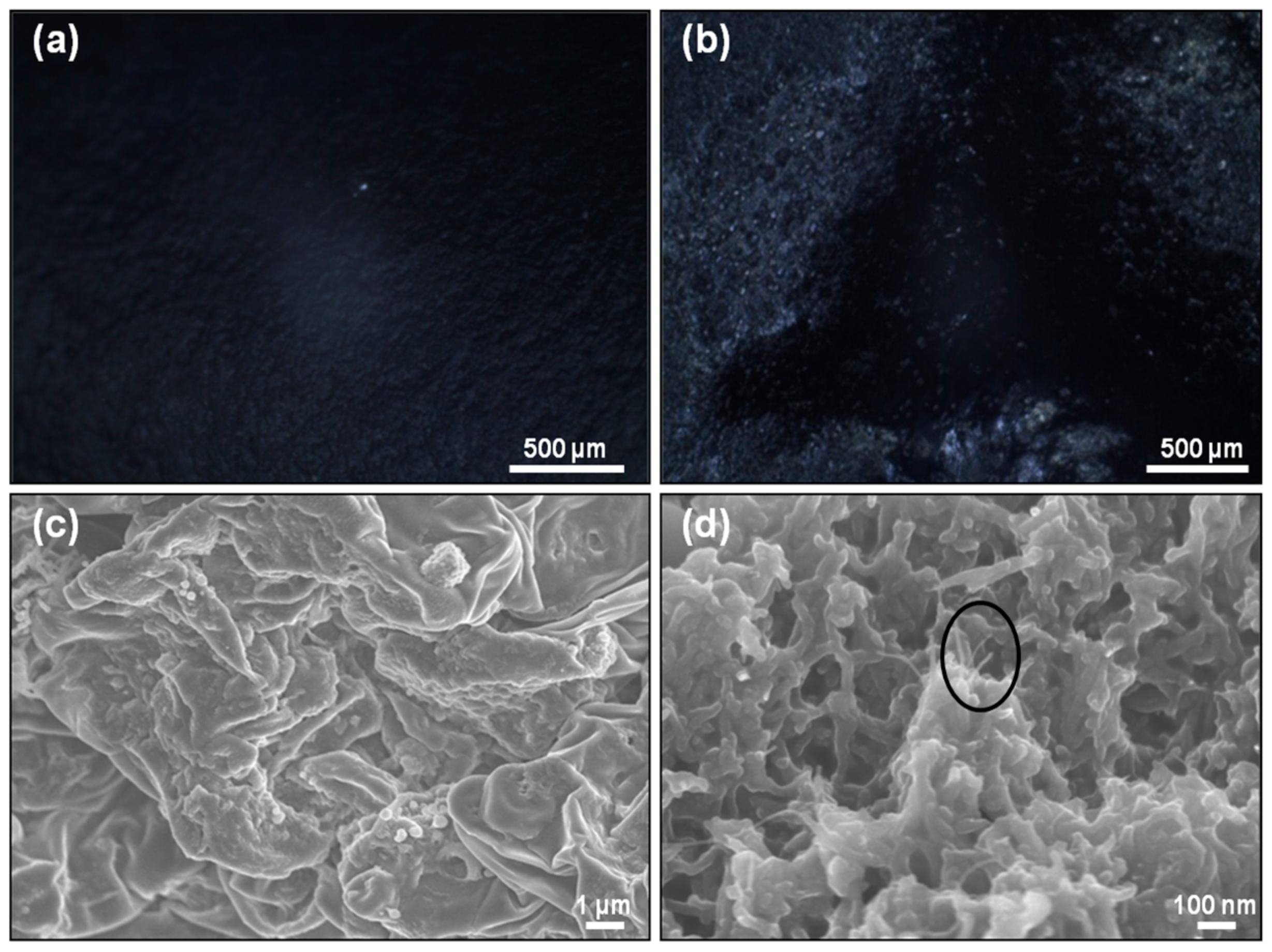 Polymers 10 00632 g004