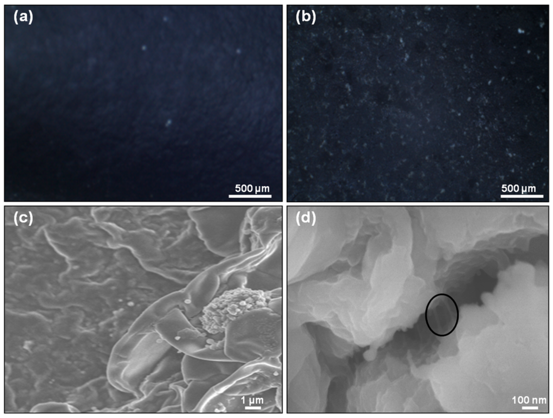 Polymers 10 00632 g005