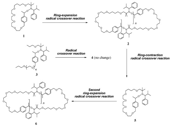 Sommelet-Hauser Rearrangement « Organic Chemistry Reaction