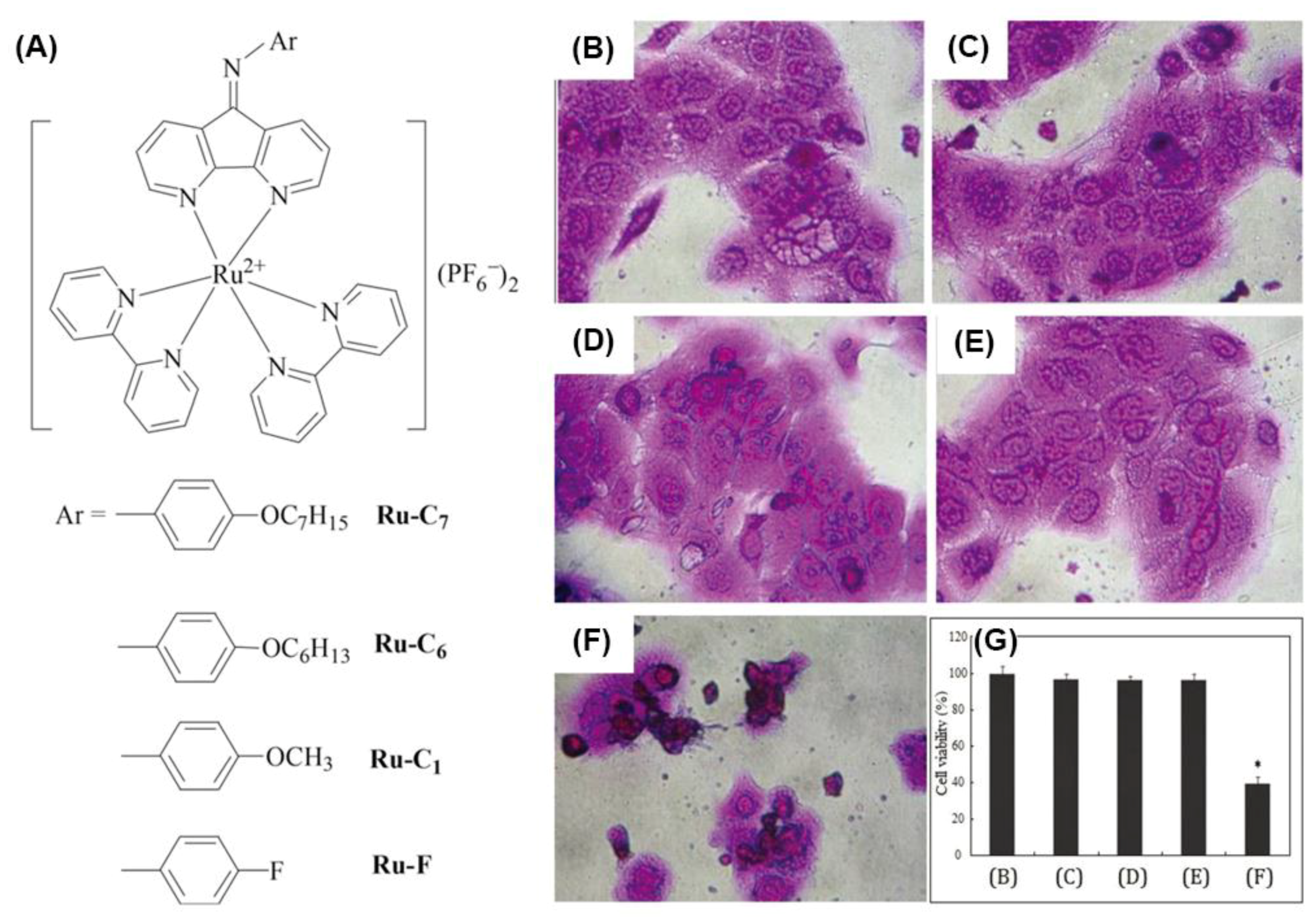 Polymers 10 00650 g003 Polymers 10 00650 g003