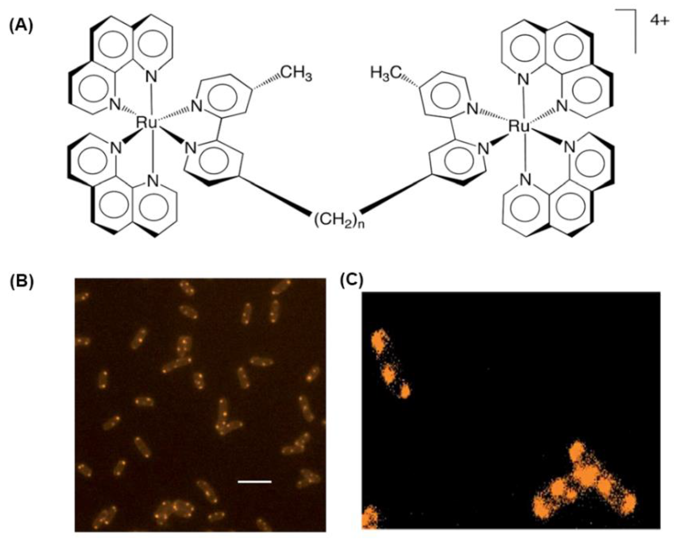 Polymers 10 00650 g004 Polymers 10 00650 g004