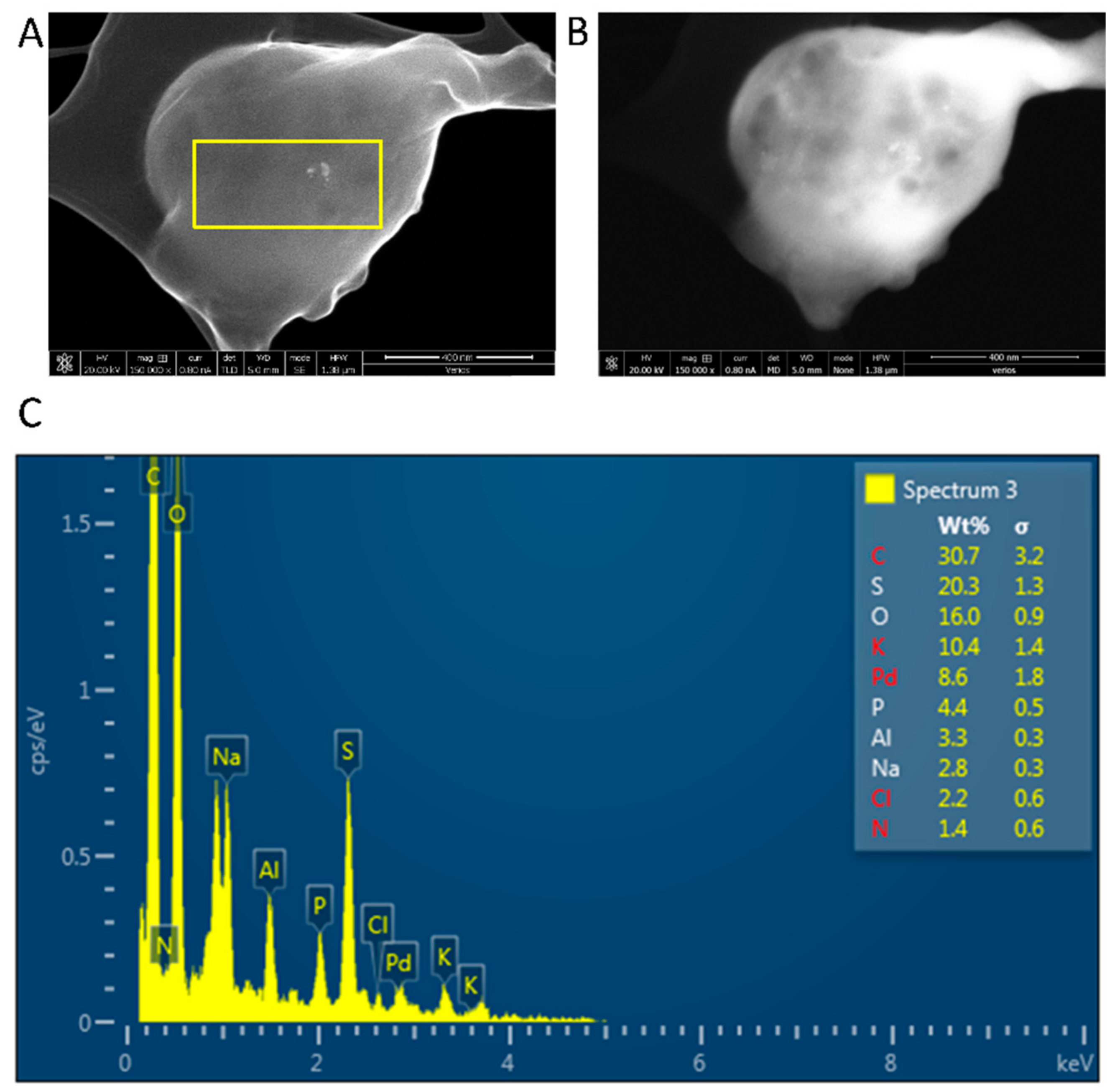 Polymers 10 00659 g005 Polymers 10 00659 g005