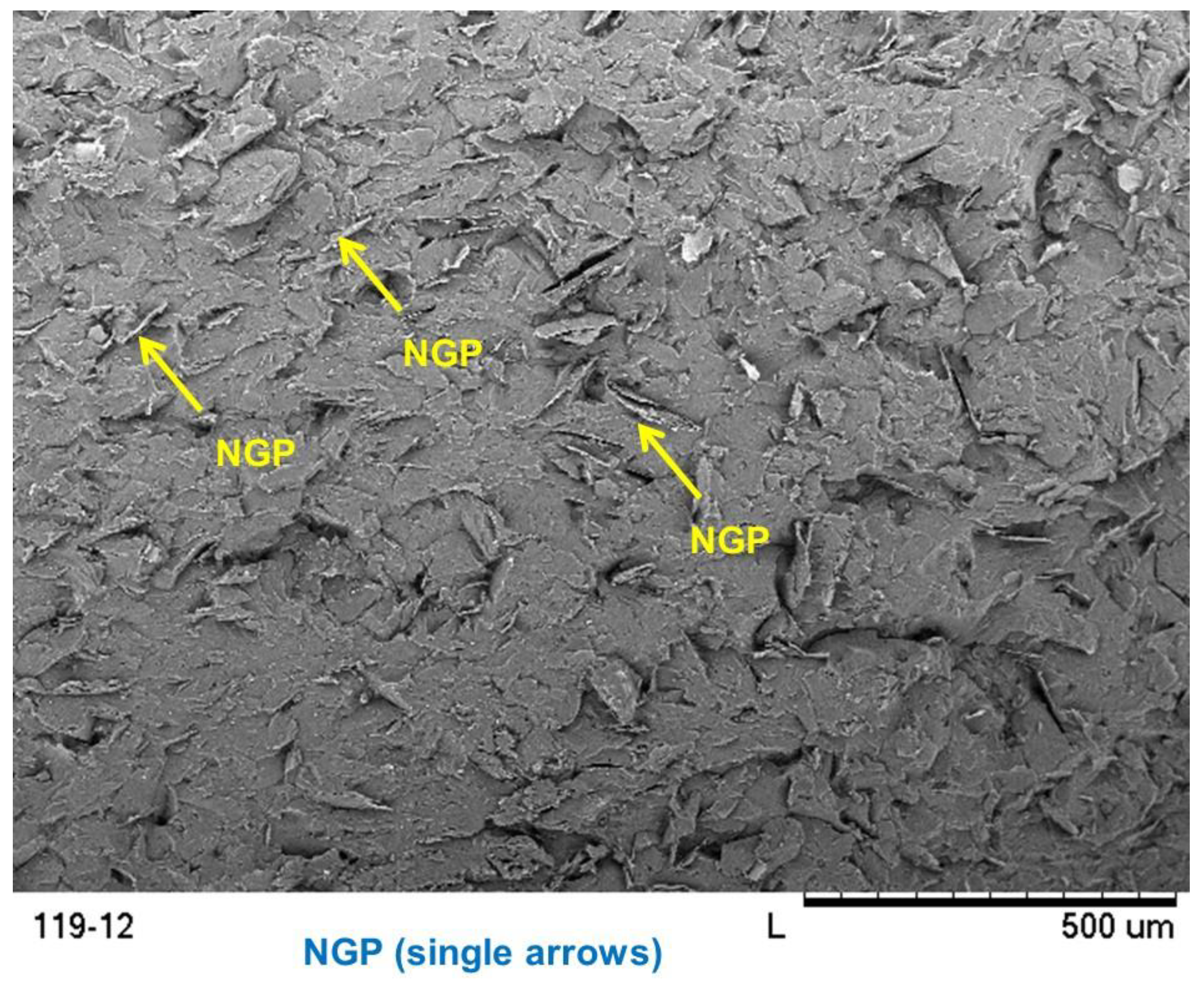 Polymers 10 00667 g007