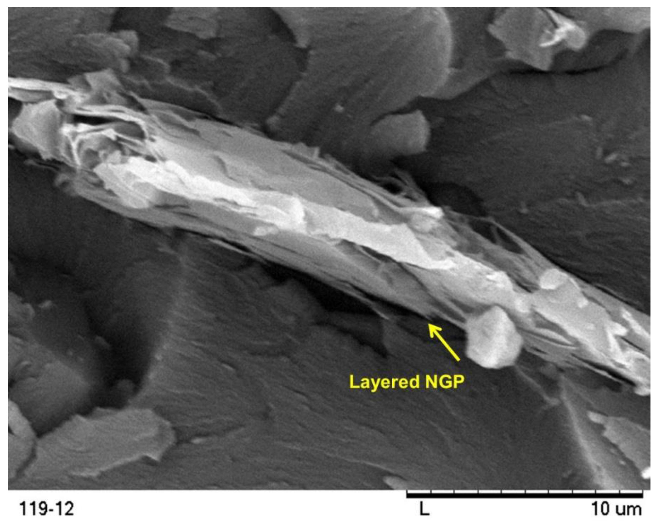 Polymers 10 00667 g008