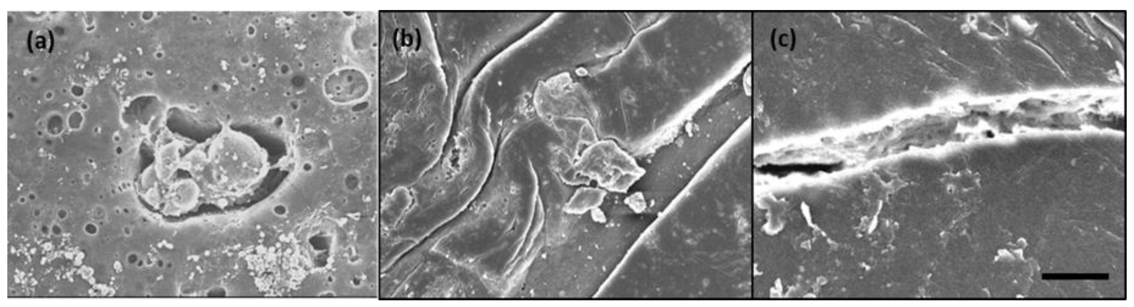 Polymers 10 00675 g009