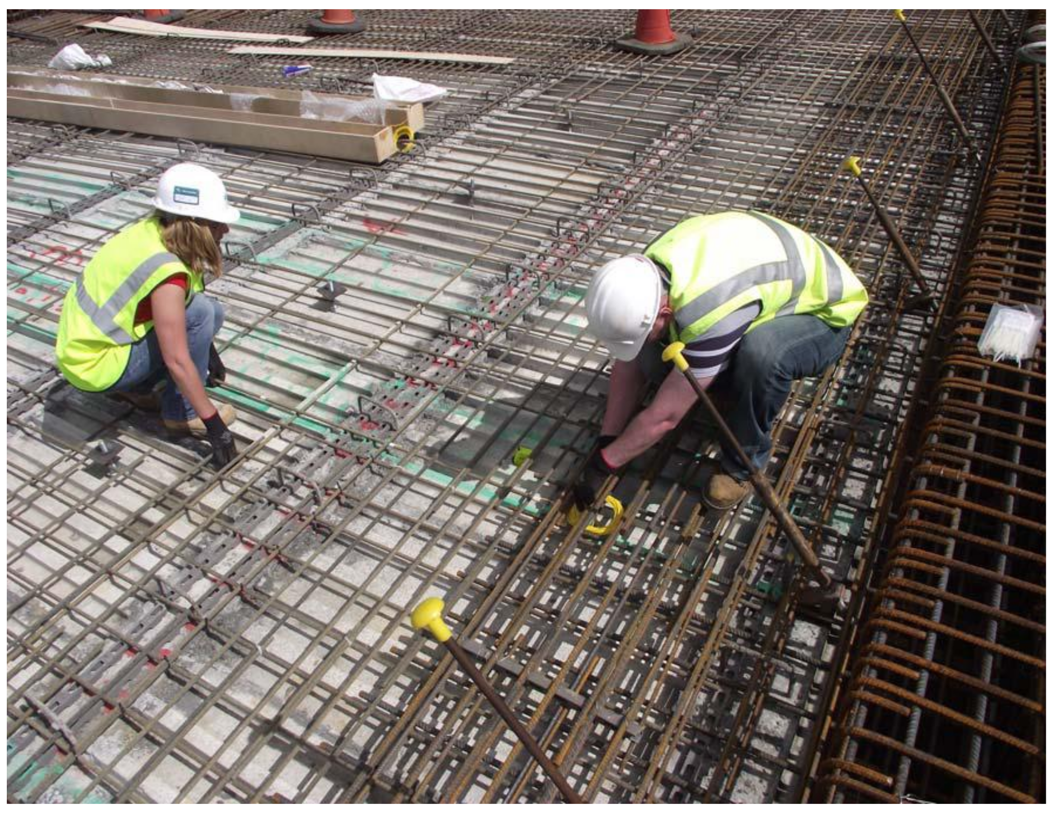 Polymers 10 00678 g005 550