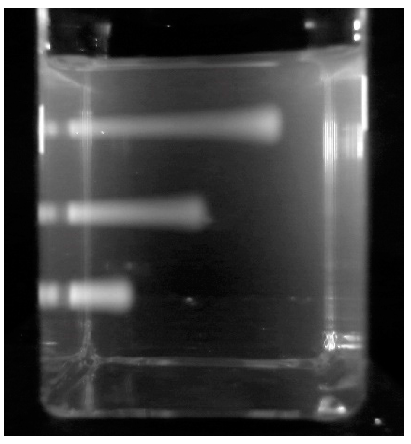Polymers 10 00685 g013 Polymers 10 00685 g013