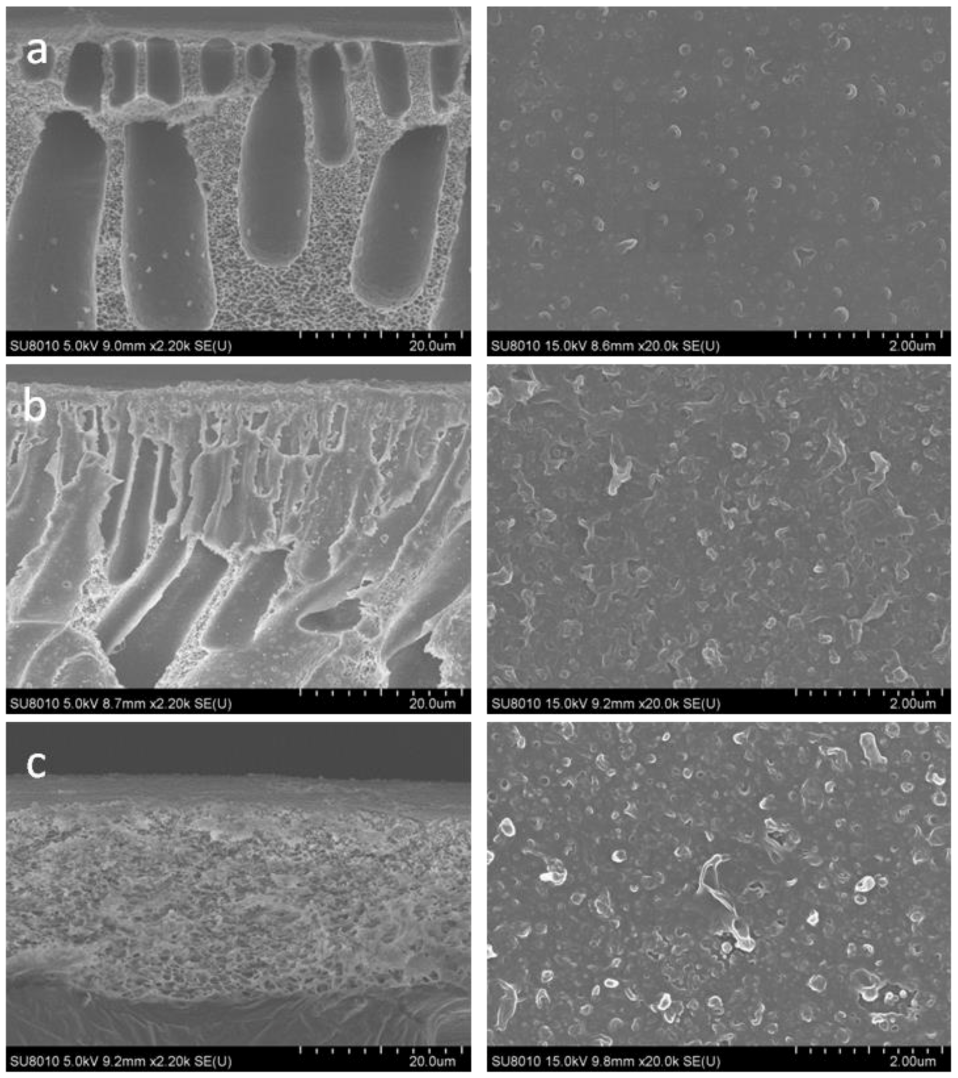 Polymers 10 00686 g002