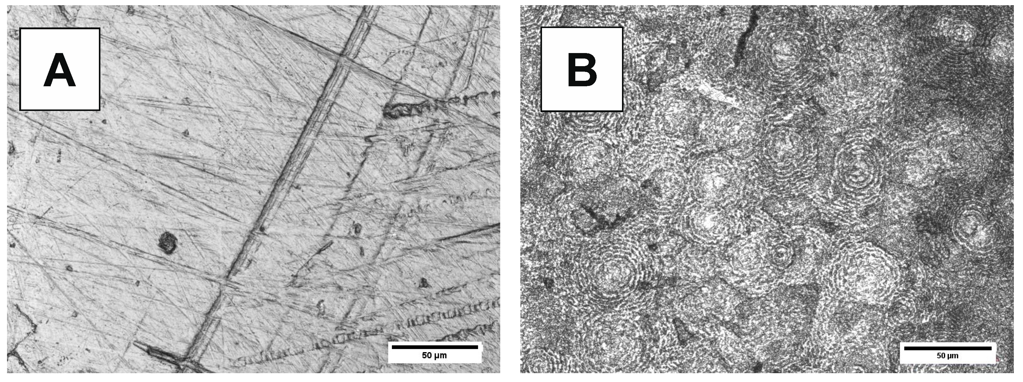 Polymers 10 00688 g012