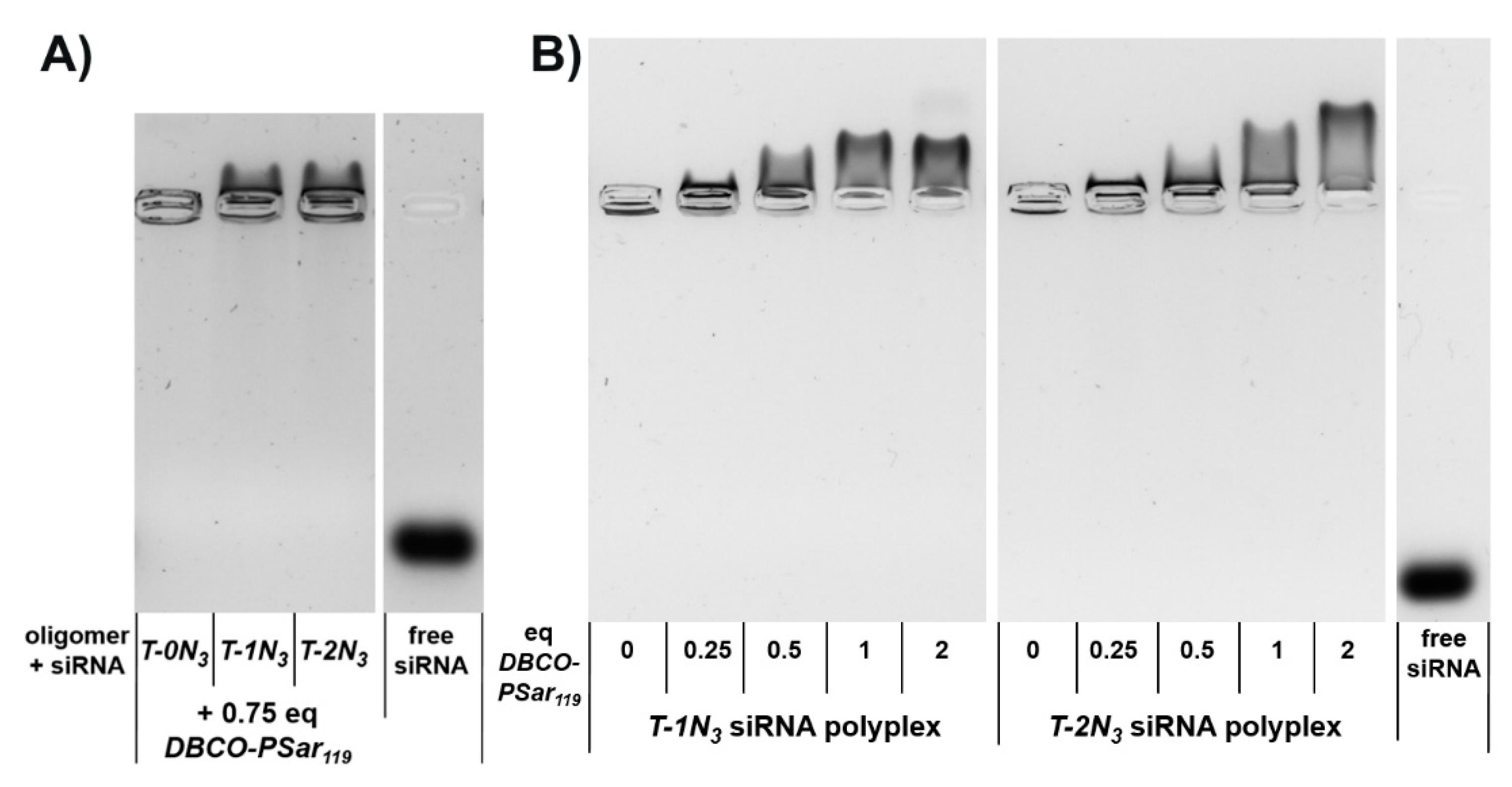 Polymers 10 00689 g002