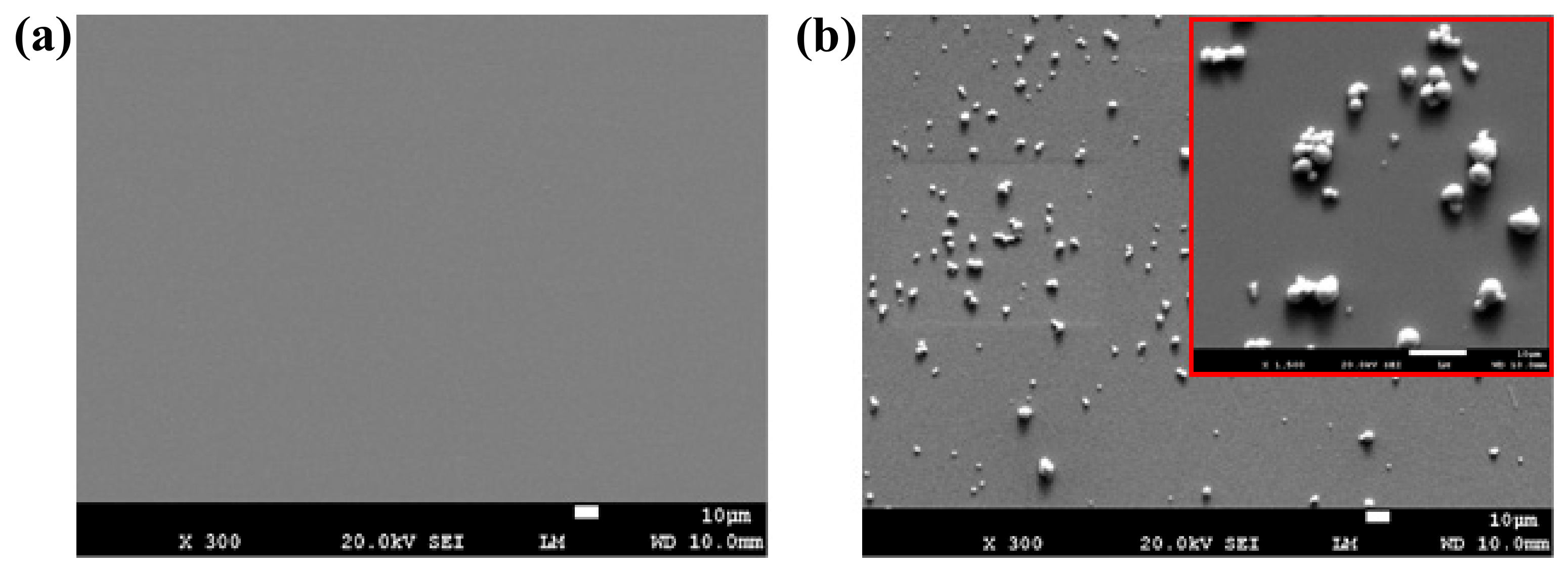 Polymers 10 00694 g002 Polymers 10 00694 g002