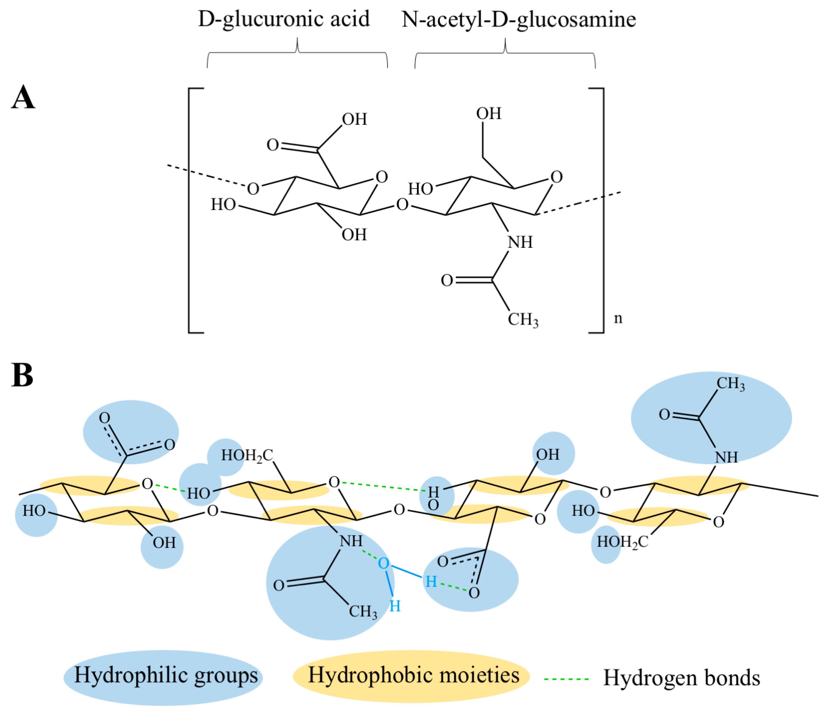 Polymers Free Full Text Hyaluronic Acid In The Third Millennium Html