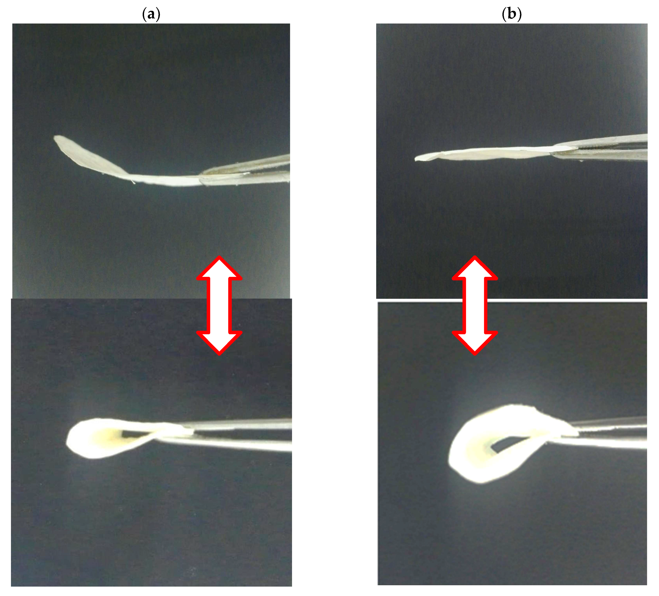 Polymers 10 00712 g010