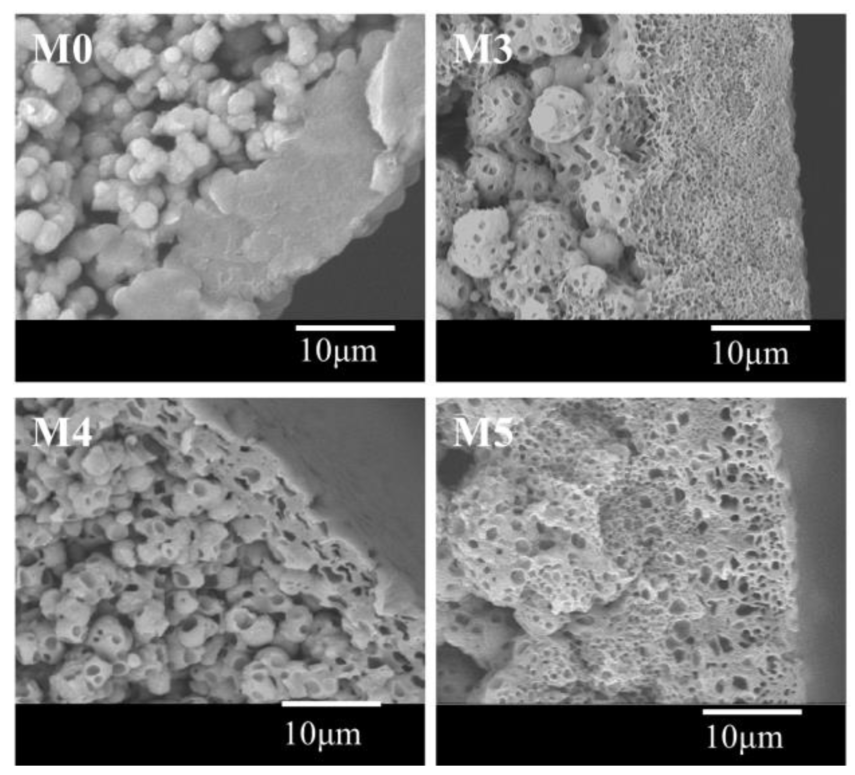 Polymers 10 00719 g007