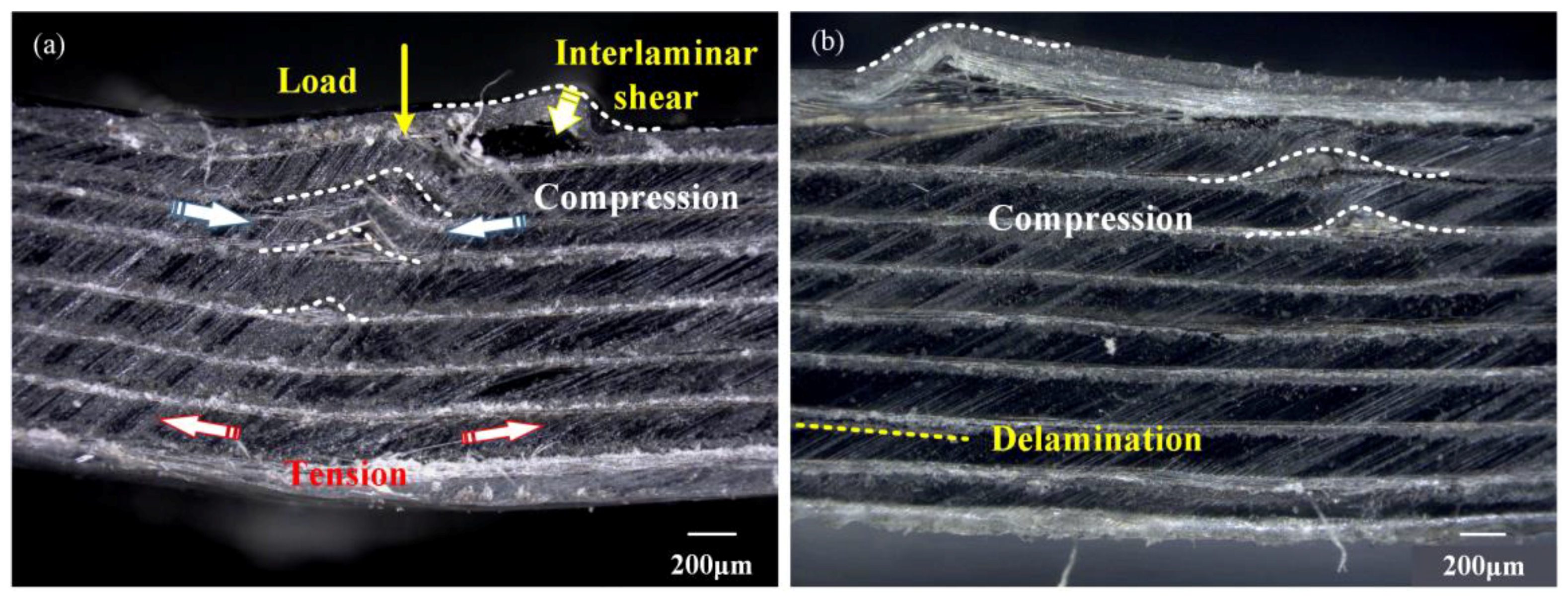 Polymers 10 00720 g006a Polymers 10 00720 g006a