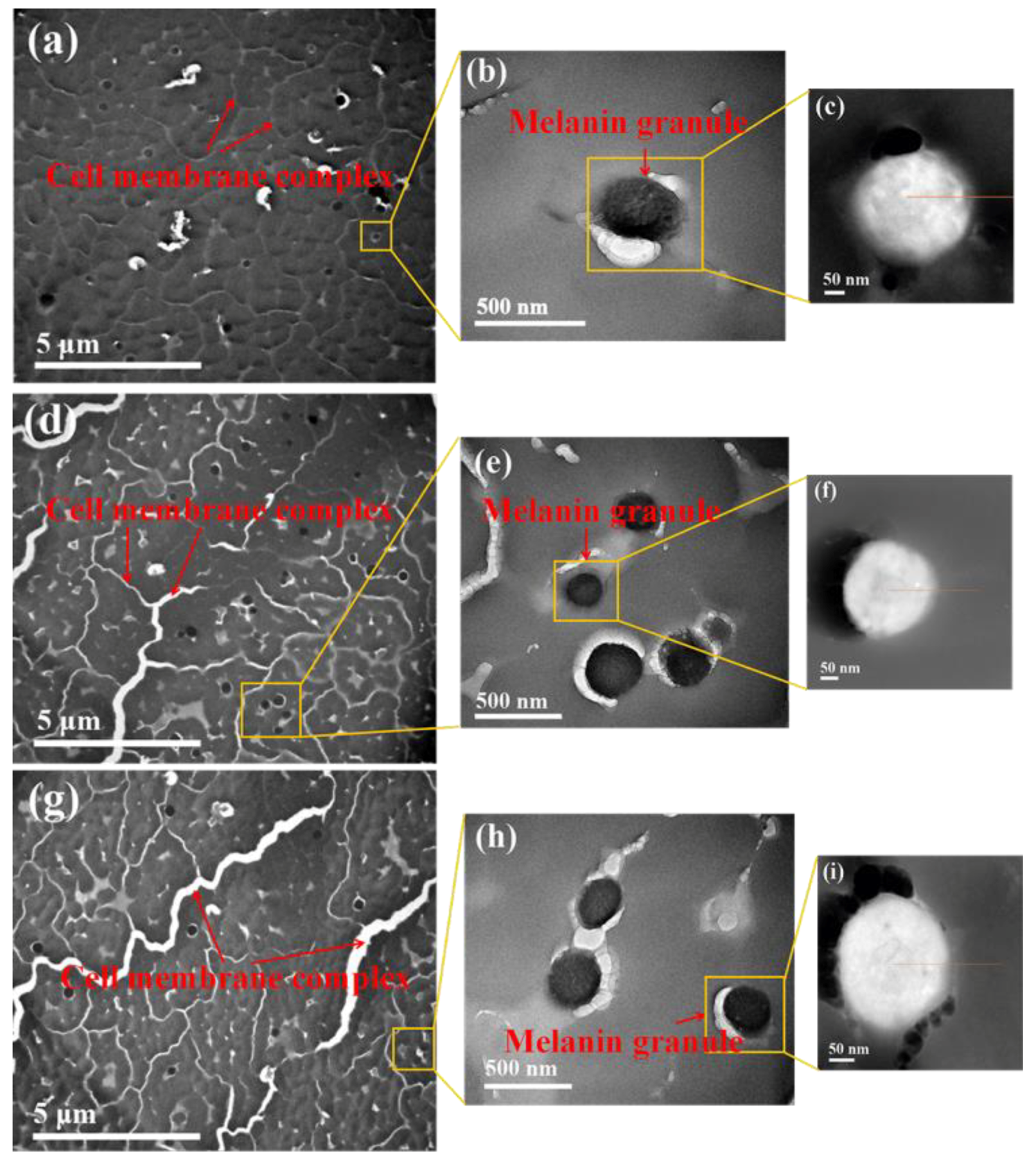 Polymers 10 00730 g009