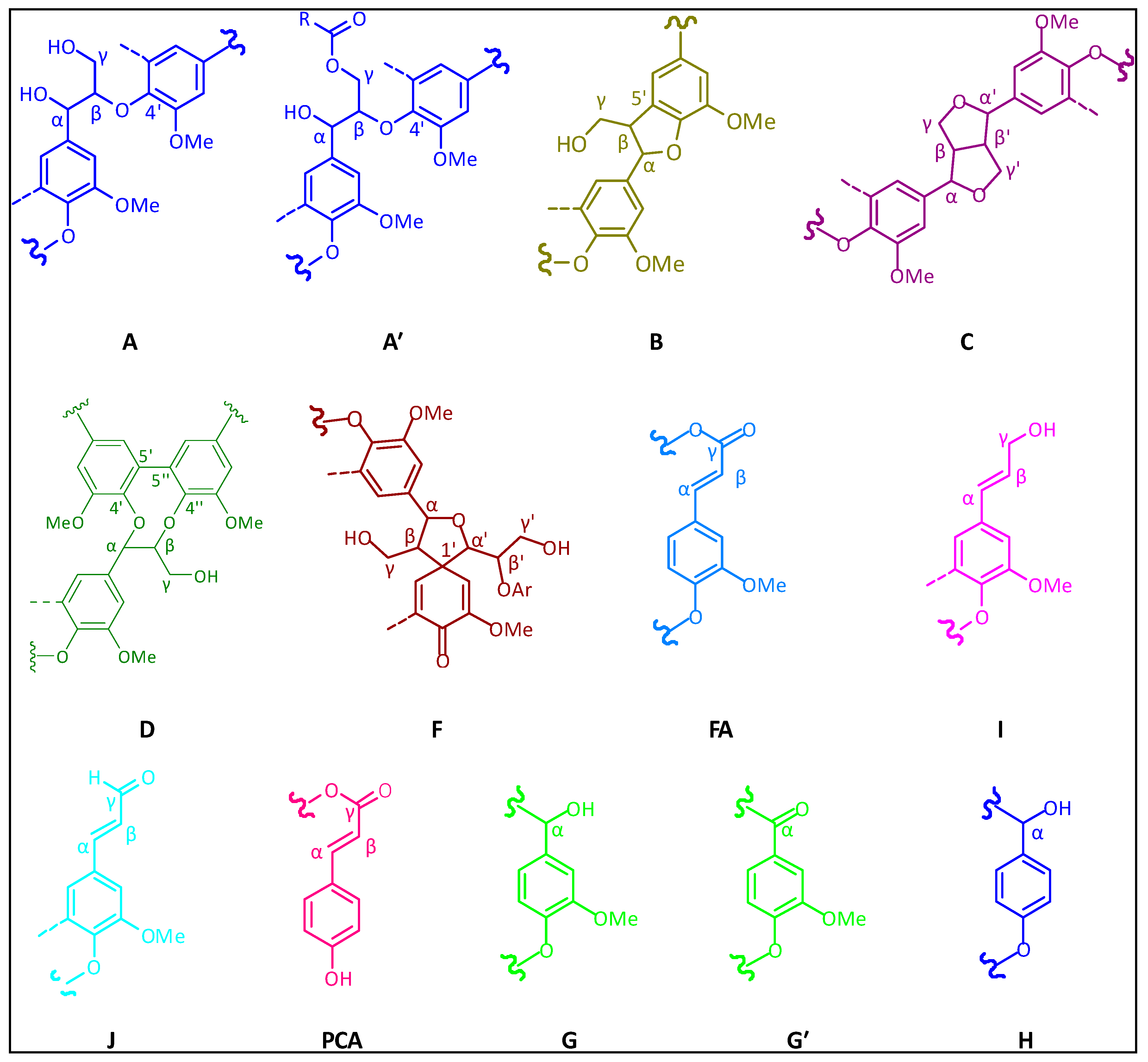 The main substructures of lignin in the spectra (A: β-O-4