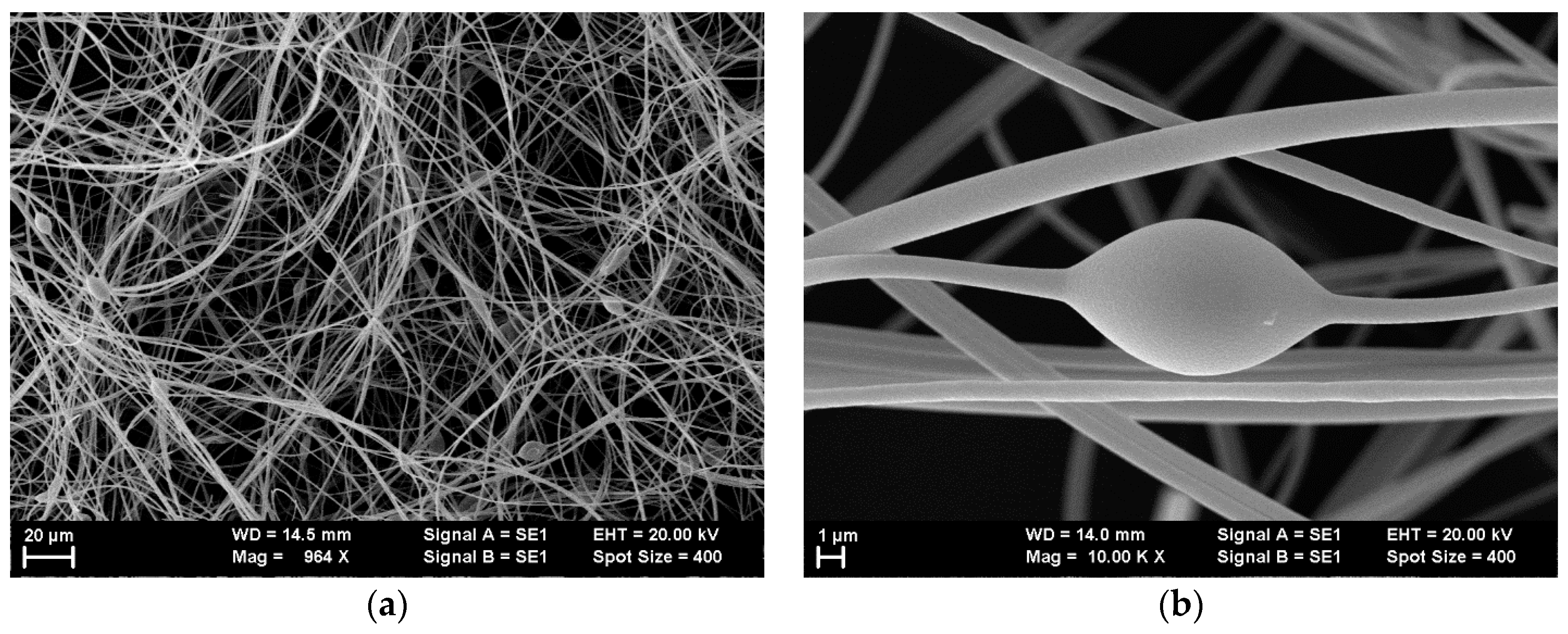 Polymers 10 00737 g005 Polymers 10 00737 g005