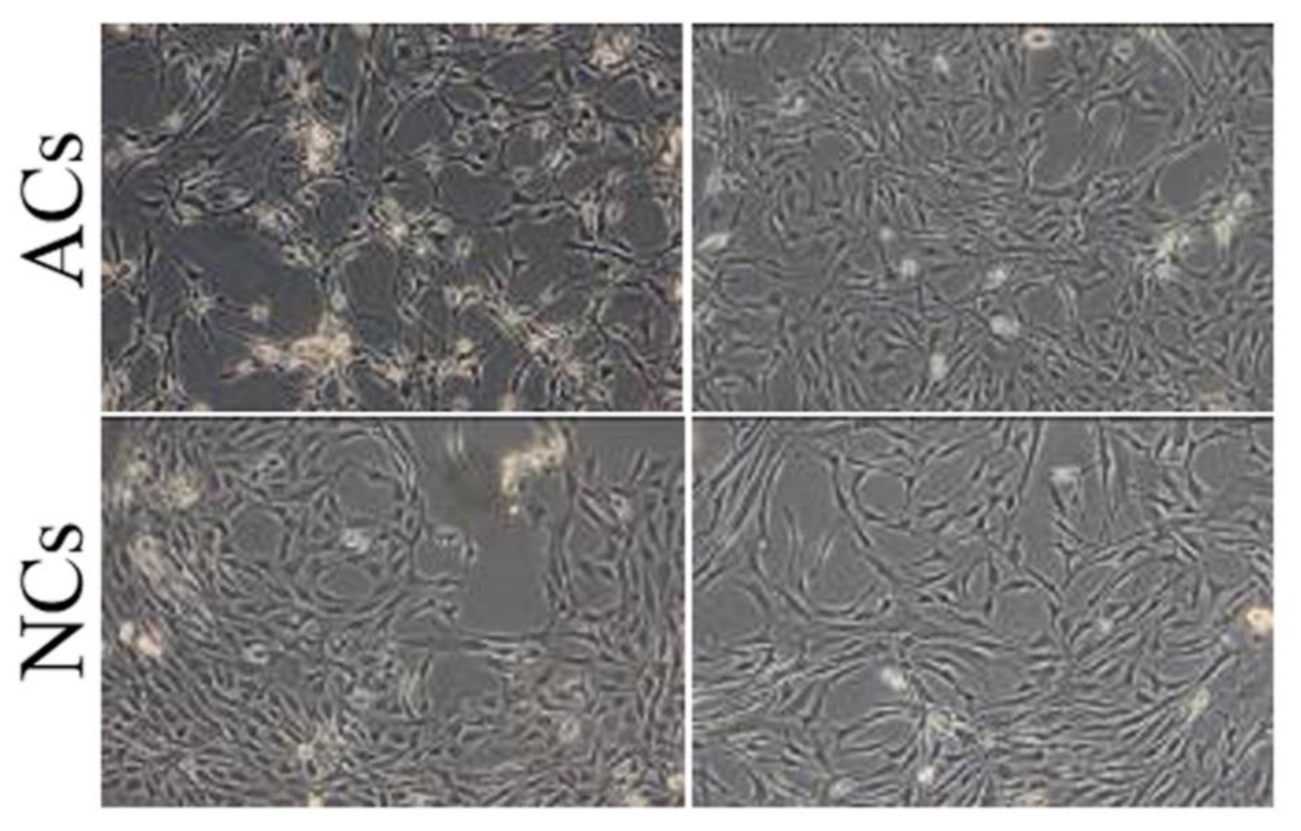 Polymers 10 00738 g002