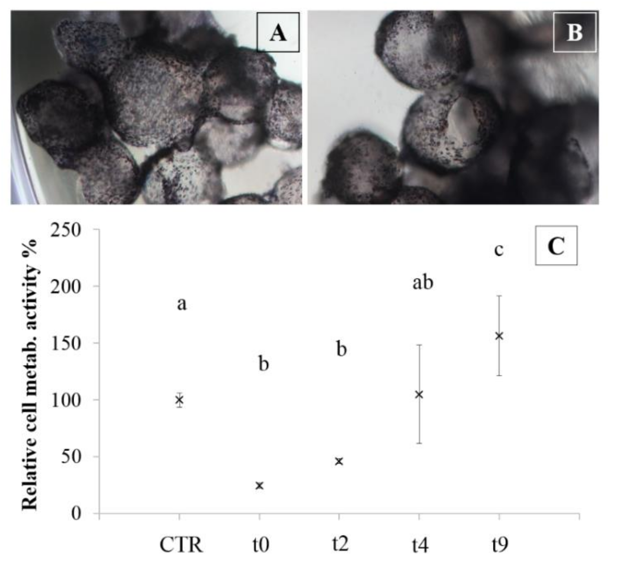 Polymers 10 00738 g007