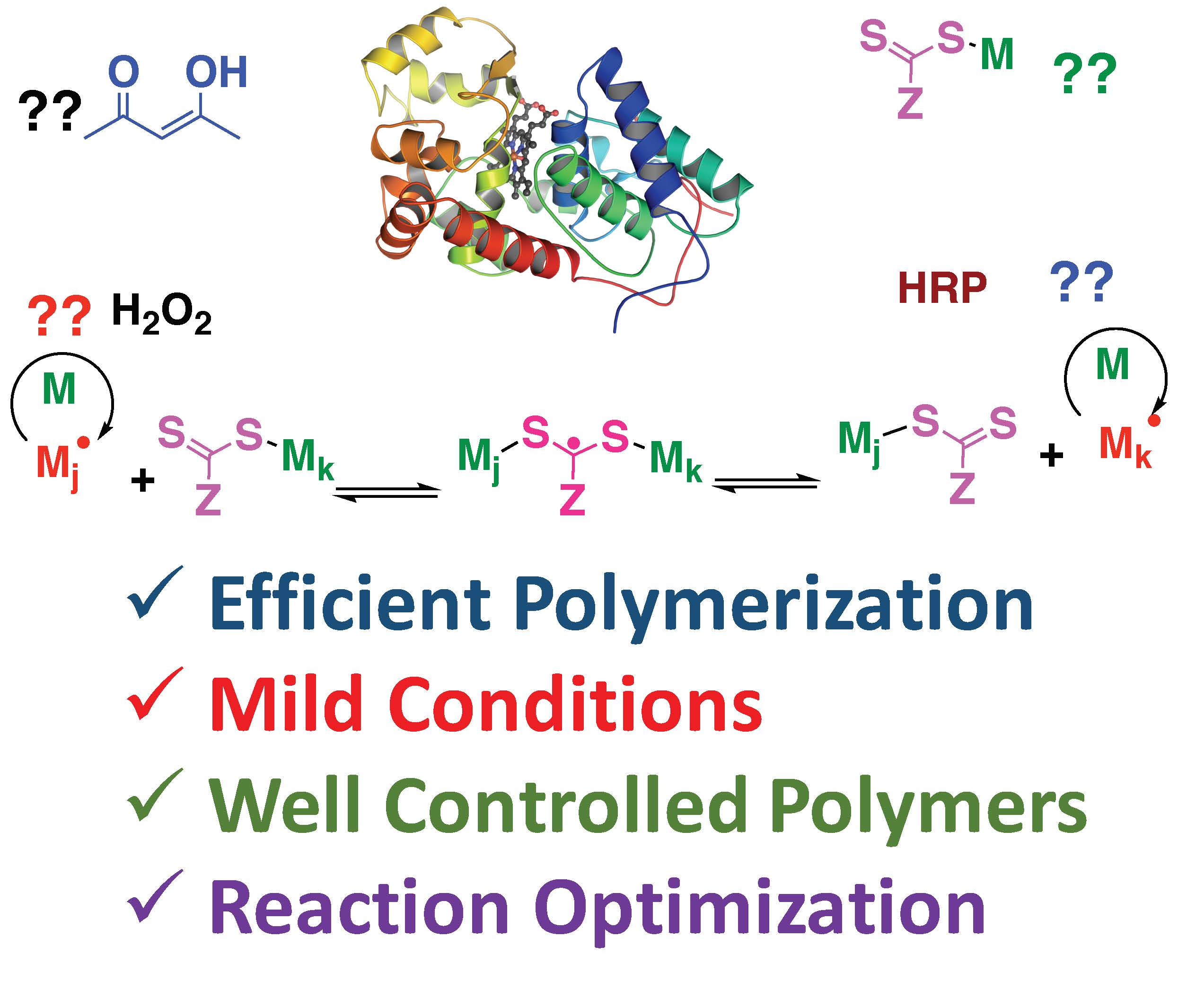 Polymers Free FullText Investigating the Mechanism of Horseradish