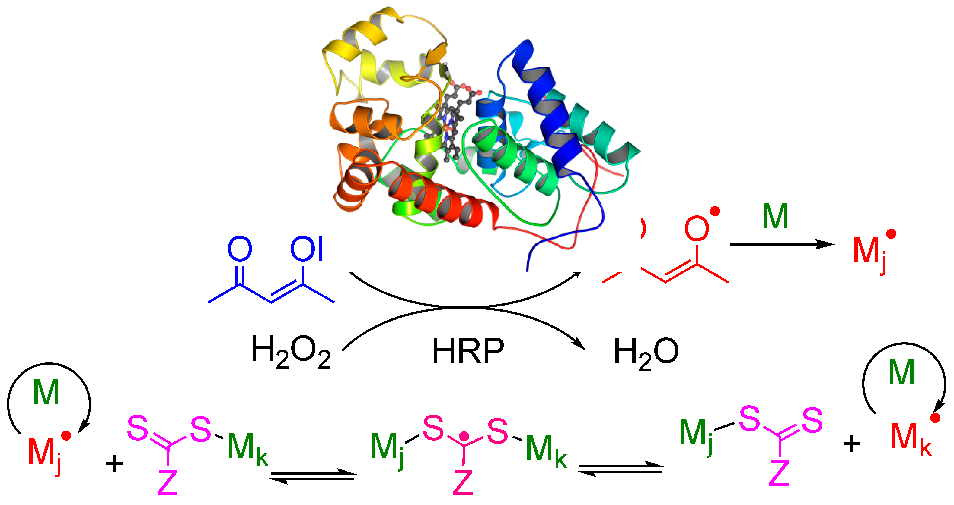 Polymers | Free Full-Text | Investigating the Mechanism of Horseradish ...