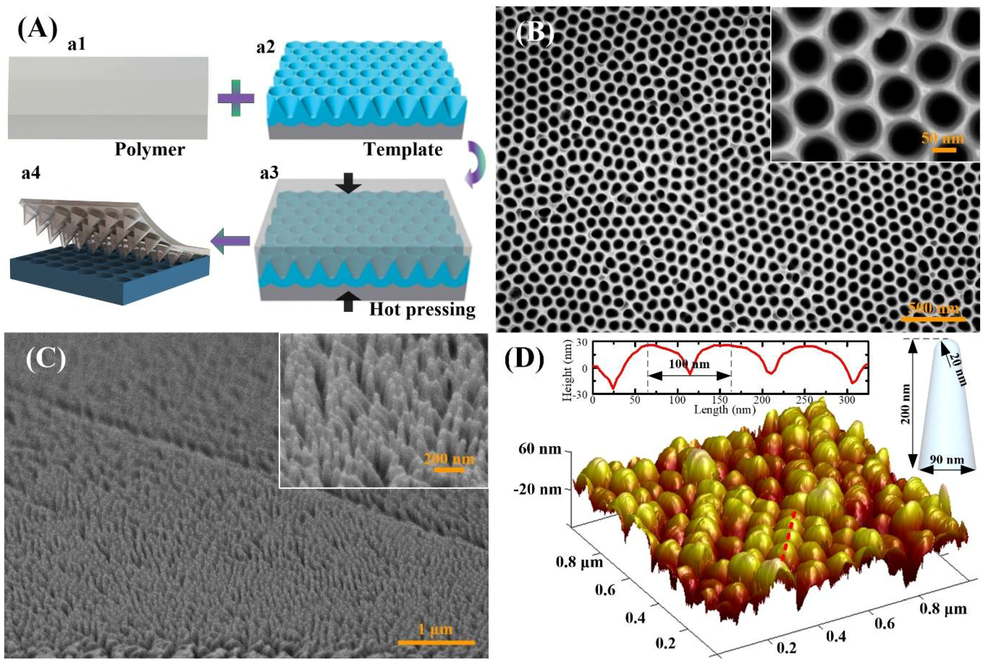 Polymers 10 00756 g002 Polymers 10 00756 g002